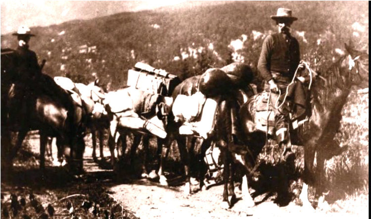 Brigade+horses.jpeg