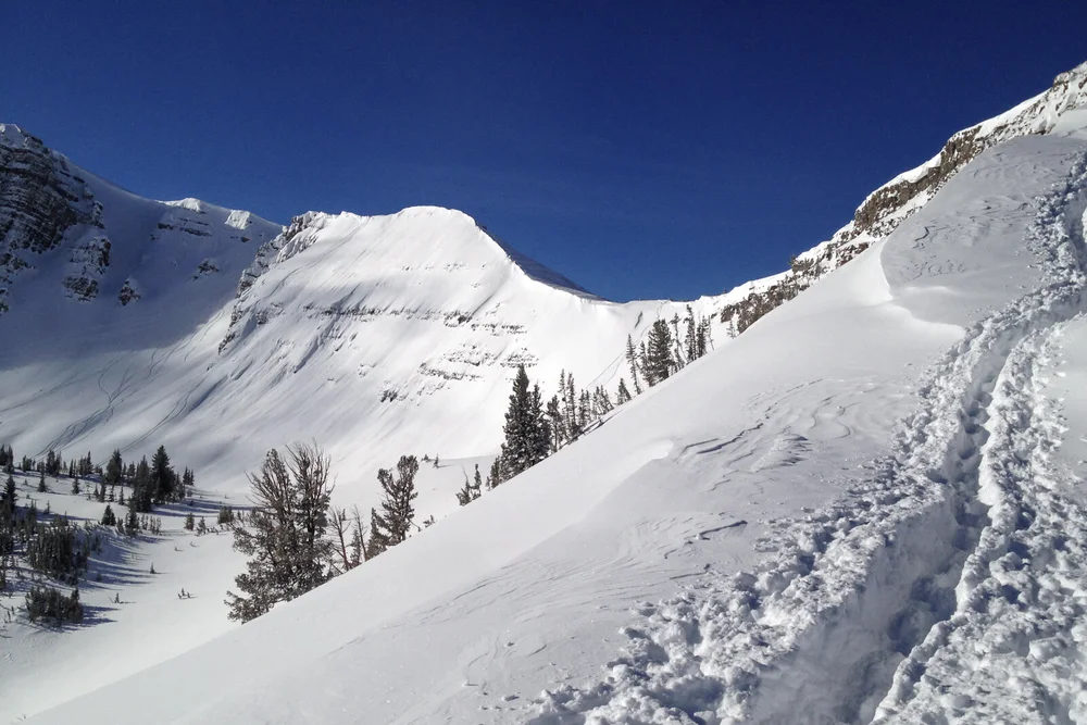 Mountain Mind Project — Mountain Mind Project