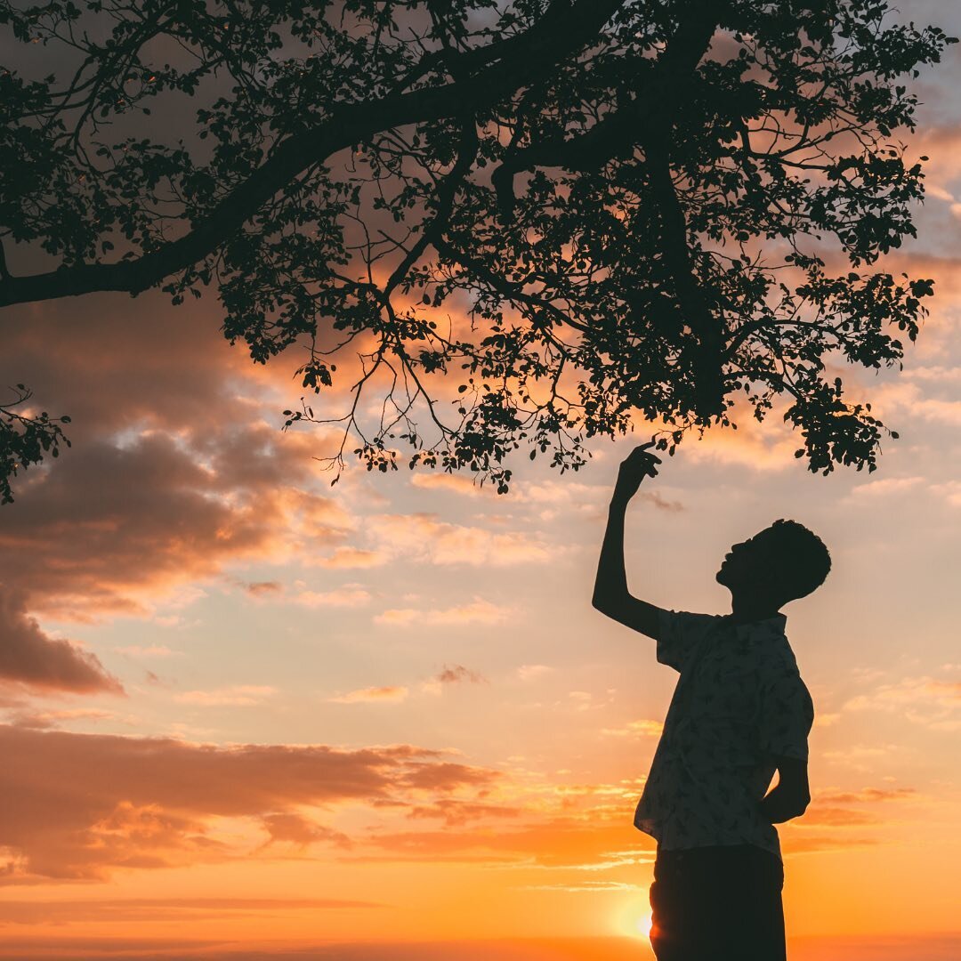 We invite you to a home mindfulness practice in acknowledging and appreciating the outdoor space around you. 

When we say &ldquo;the outdoors&rdquo; we literally mean the world outside your front door and windows. 

To us, &ldquo;the living world&rd