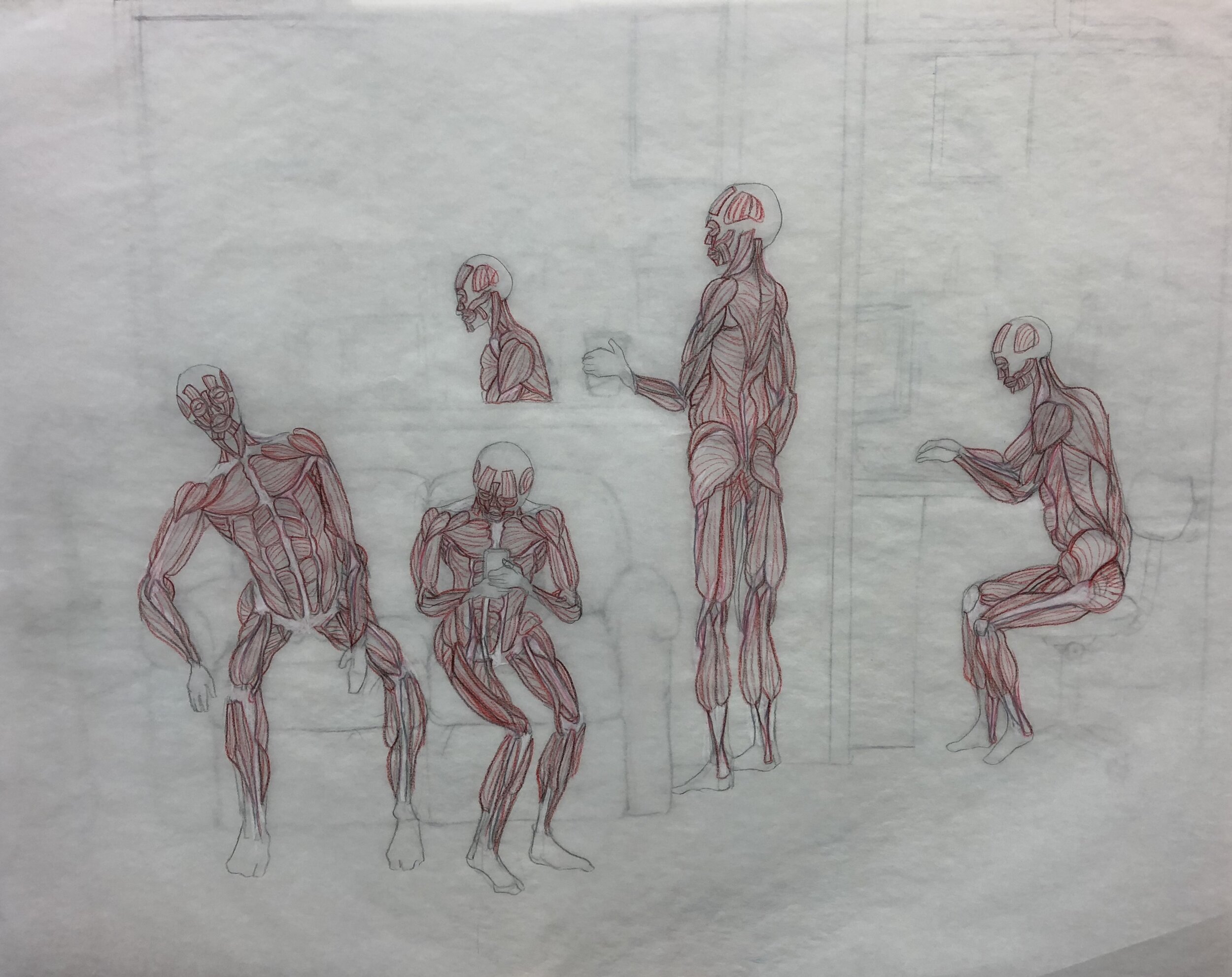 Edgar Silva Art -Gnomon Anatomy Drawing