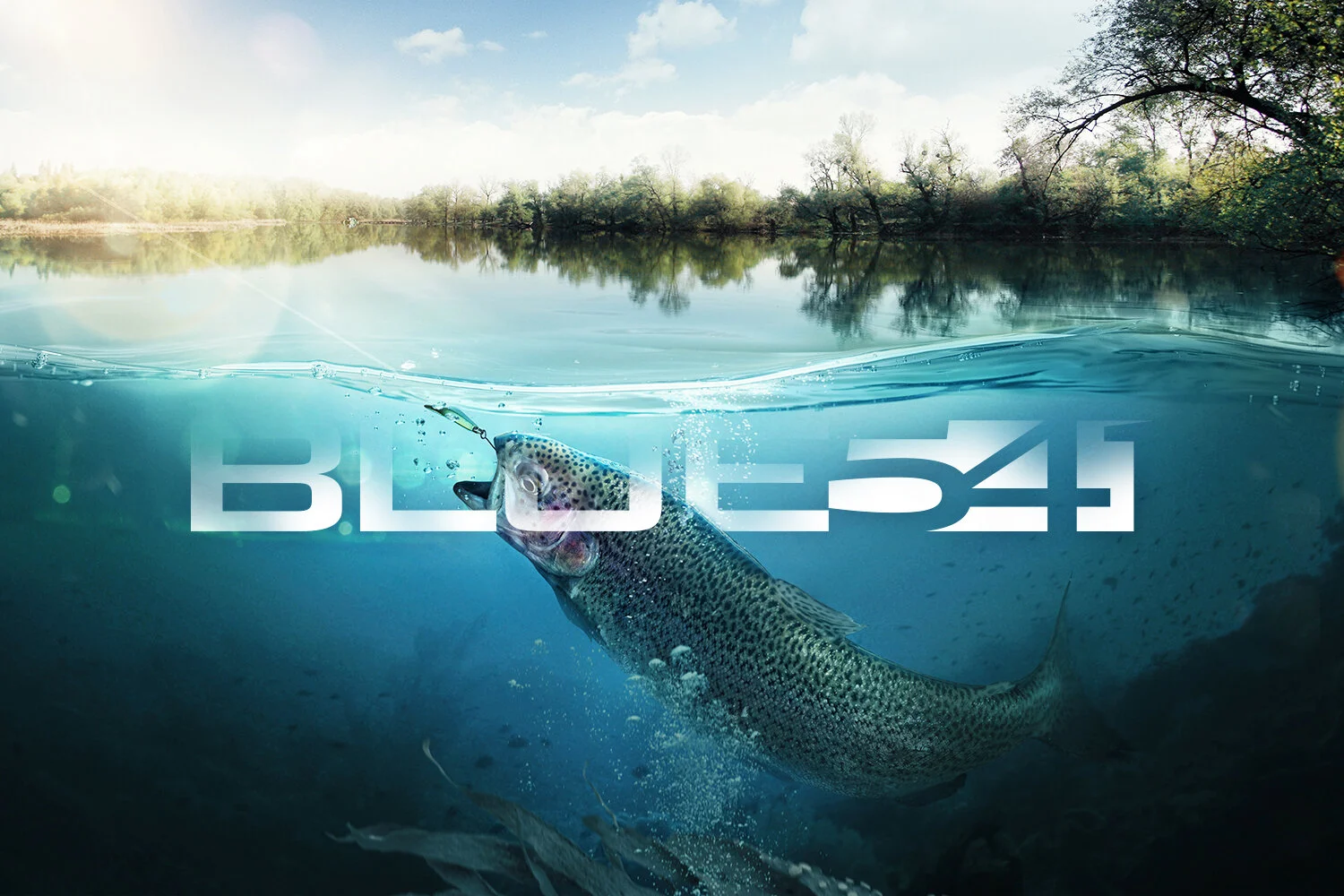 blue541-h.jpg