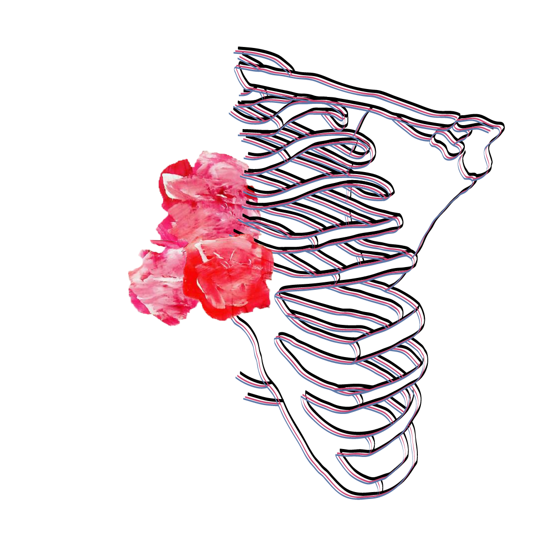 Lungs Insta.png