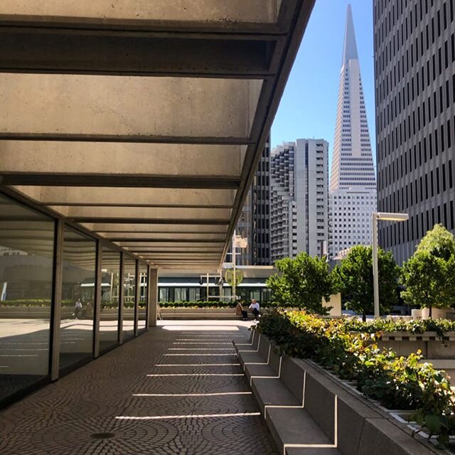 Already over a month ago and still missing the Left coast, especially this incredible elevated plaza and the cafe with the best damn French toast in the world: @cafedusoleilsf (check out my google review nbd). Also welcome home @hhpasternak. 🧗&zwj;♂