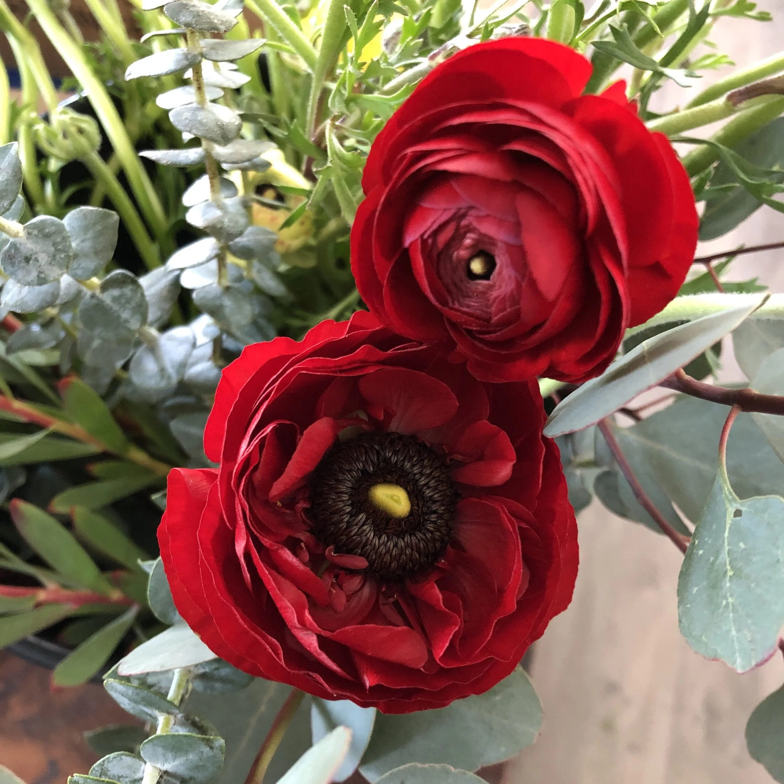 Dried Flowers Sacramento, CA Right Side Hand