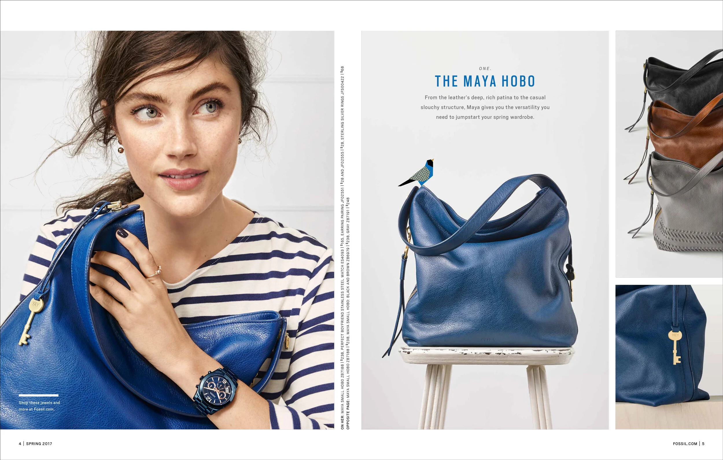 Fossil Catalogs Portfolio — Blair Remington Garcia