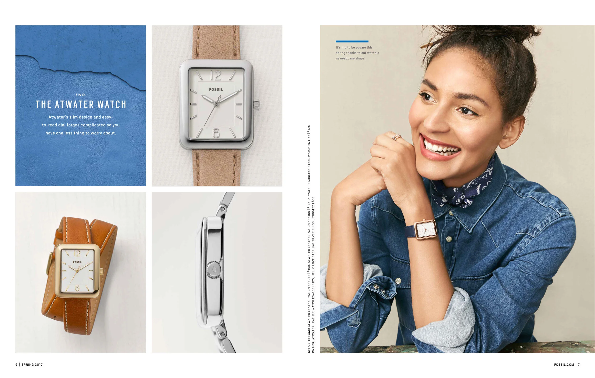 Fossil Catalogs Portfolio — Blair Remington Garcia