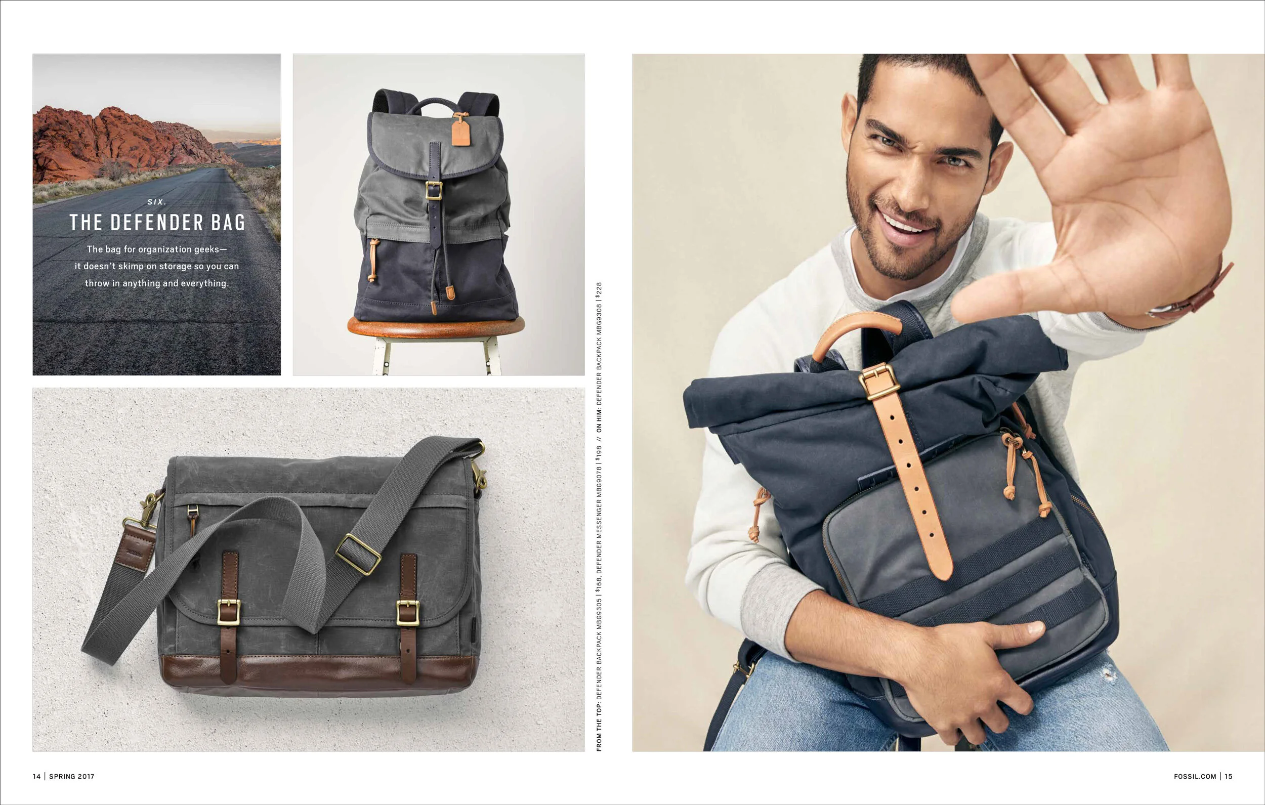 Fossil Catalogs Portfolio — Blair Remington Garcia