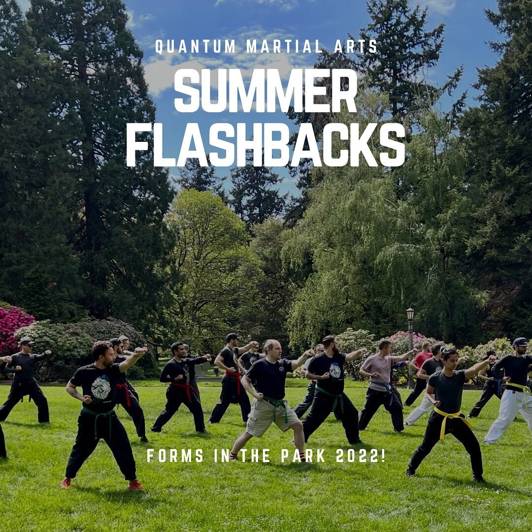 Remember that time we all got together and did Martial Arts in the park!  Let&rsquo;s do that again next year&hellip;. @quantum_pdx @quantum_sf  @quantum_seattle #portlandoregon #portland #portlandartist #portlandart