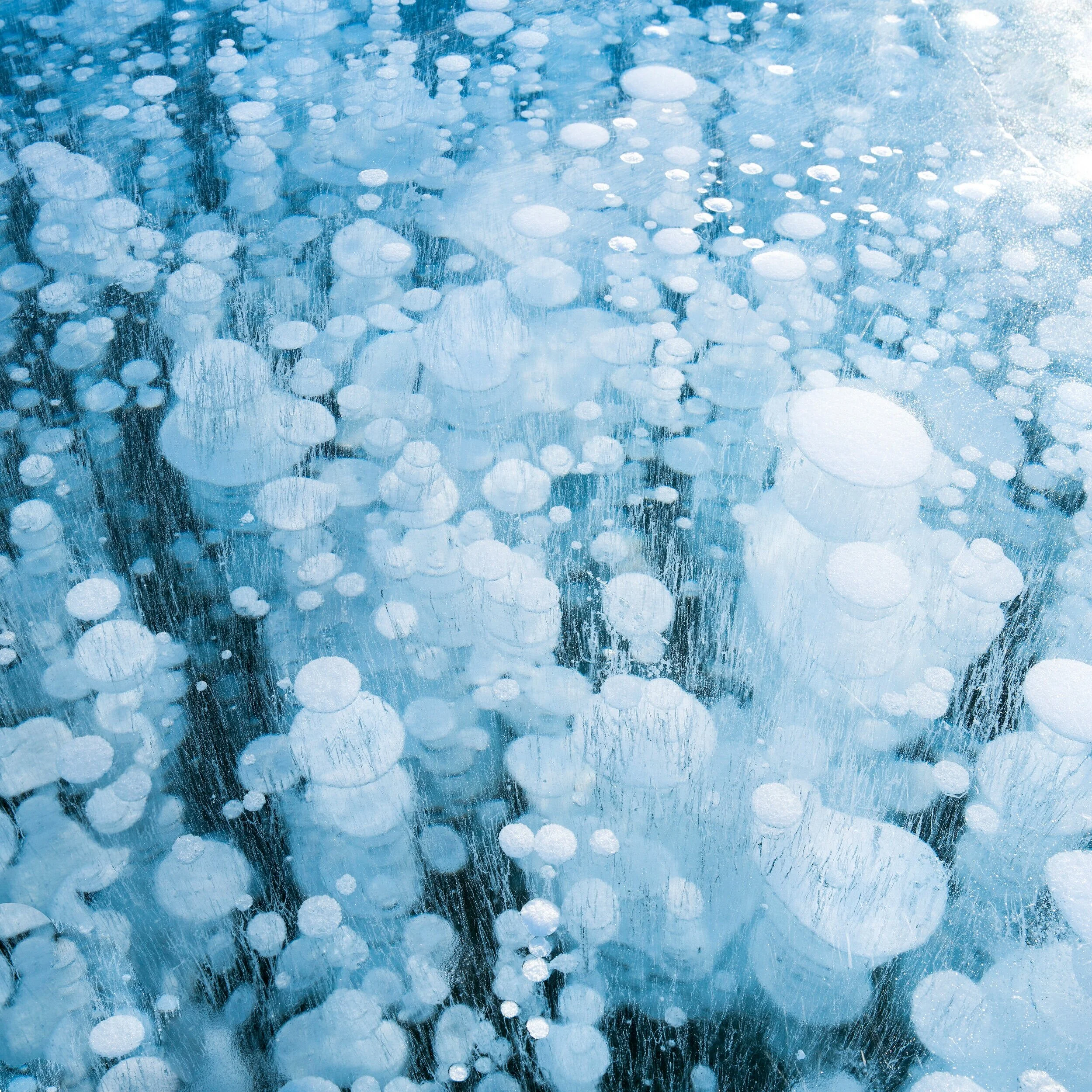 Cryo II, stacked white methane bubbles frozen in luminous turquoise lake ice, dark vertical streaks between columns of bubbles, Abraham Lake, Alberta, Canada