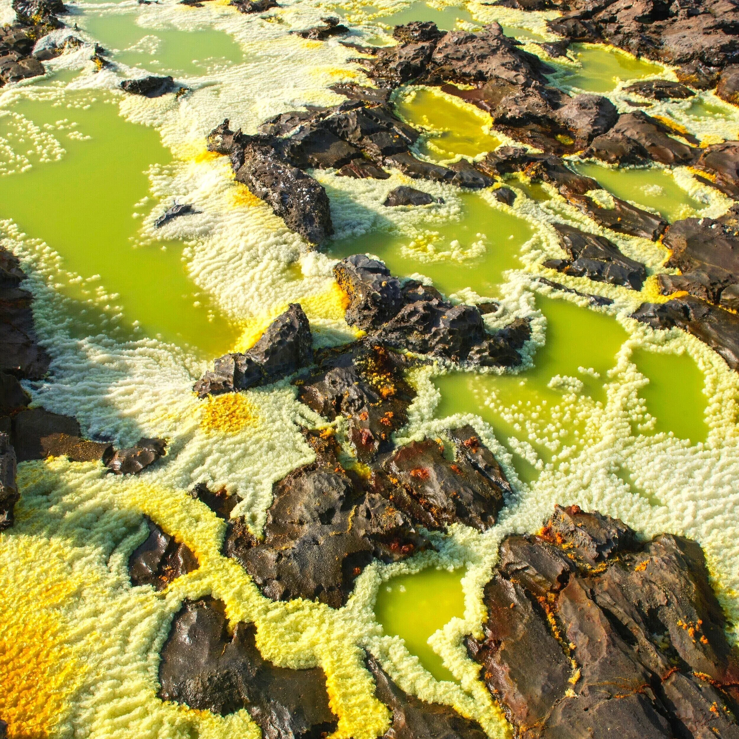 Afar III, bright green acidic pools ringed by white and yellow salt crust between jagged dark rock fragments, close view of mineral surface, Danakil Depression, Ethiopia