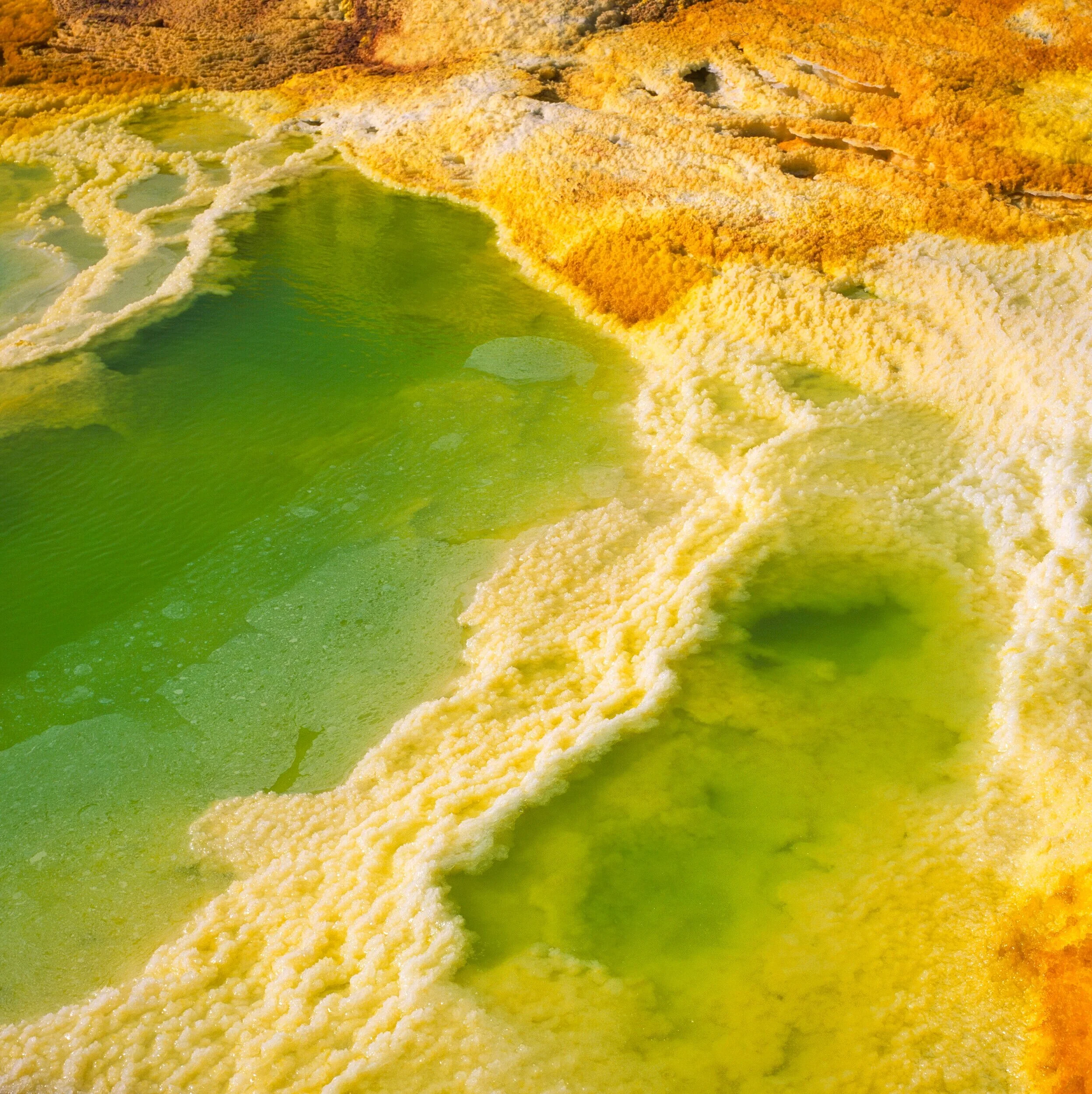 Afar V, lime green spring water edged with cream and yellow salt crust, touch of orange mineral in corner, abstract close view, Danakil Depression, Ethiopia