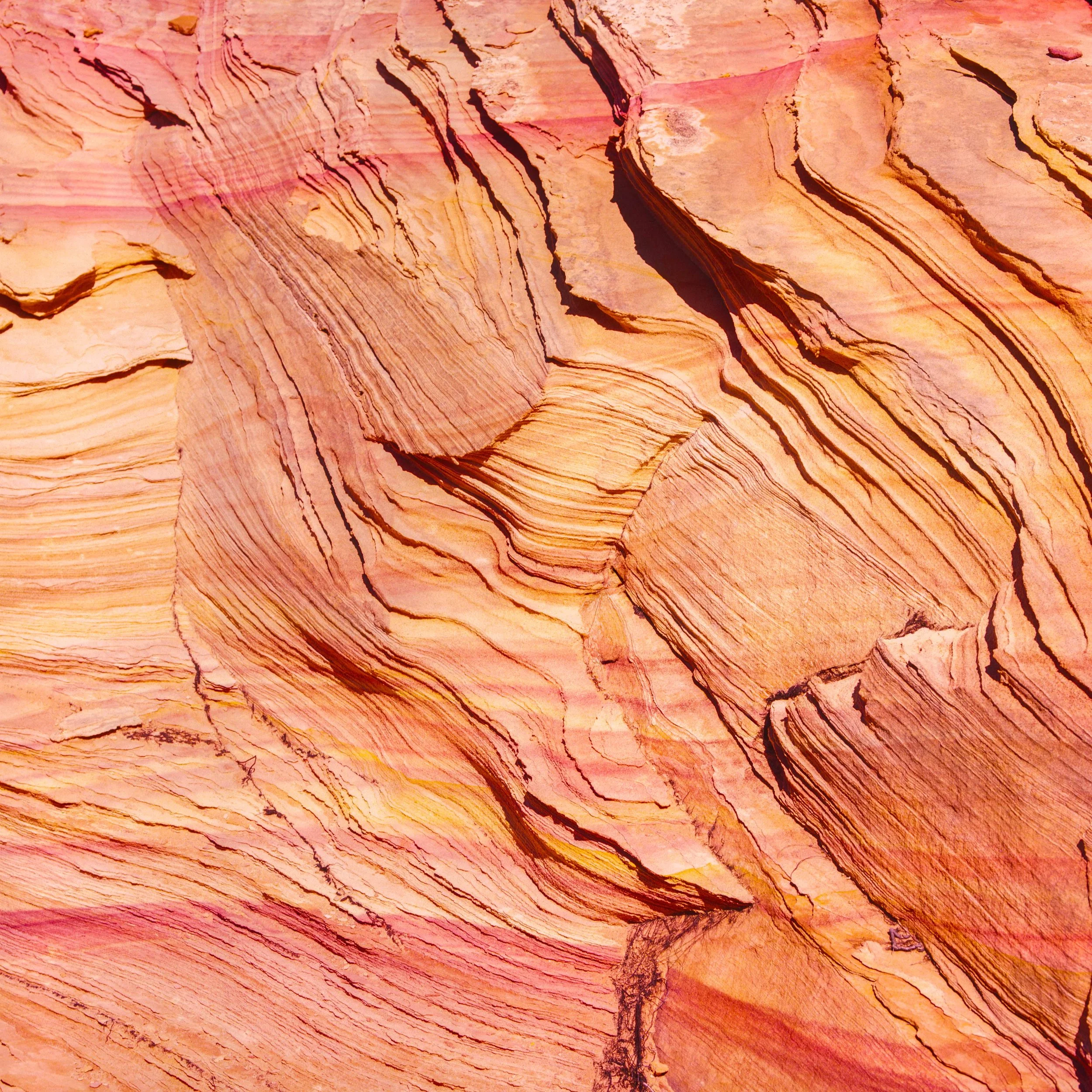 Waves, close view of orange and pink sandstone with fine wavy layers sweeping diagonally, sharp eroded ridges and bands of colour, desert rock texture