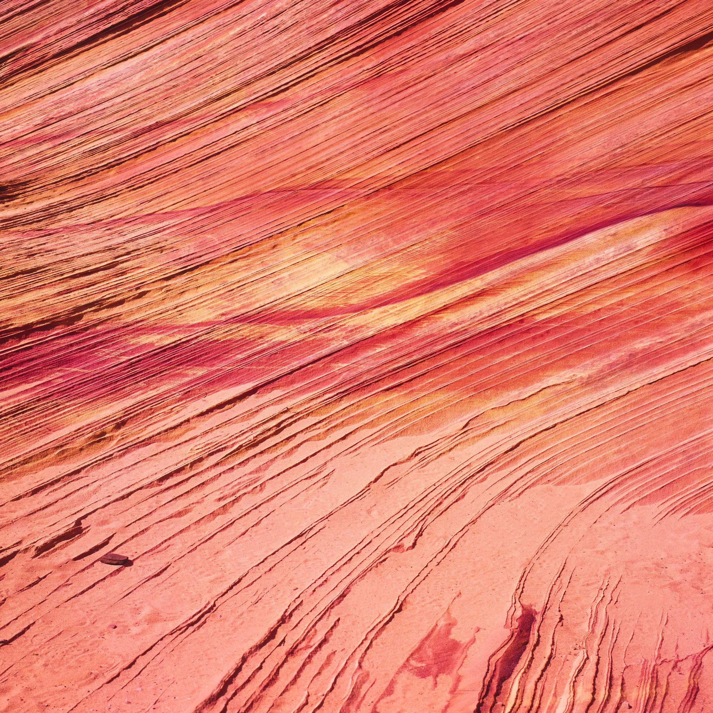 Strata II, close view of pink and orange sandstone with fine diagonal layers sweeping across rock, ancient dune lines exposed in stone, abstract American Southwest desert