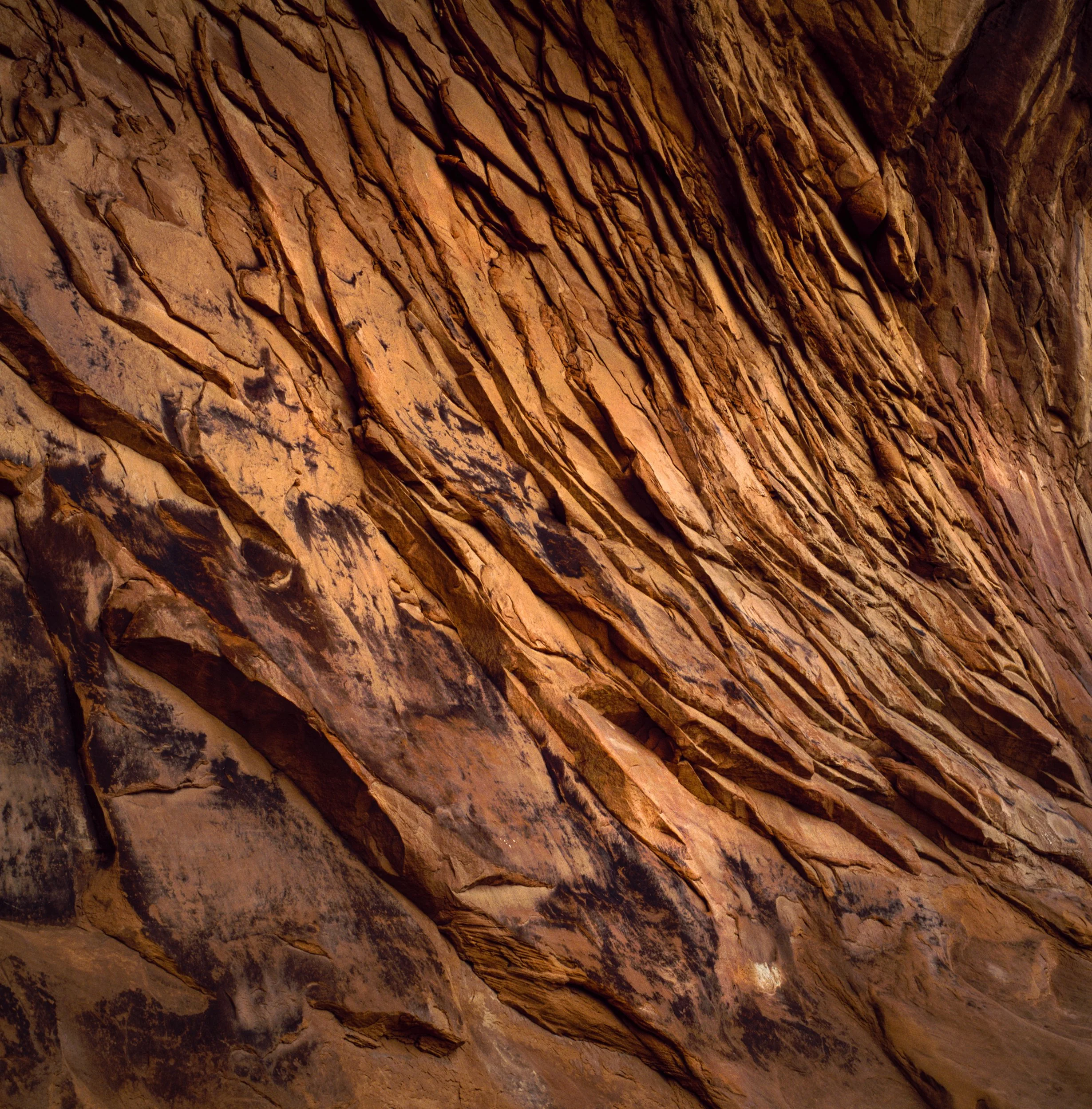 Canyon, close view of rust orange canyon wall with sharp diagonal fins and dark weathered cracks, eroded sandstone texture lit by warm light