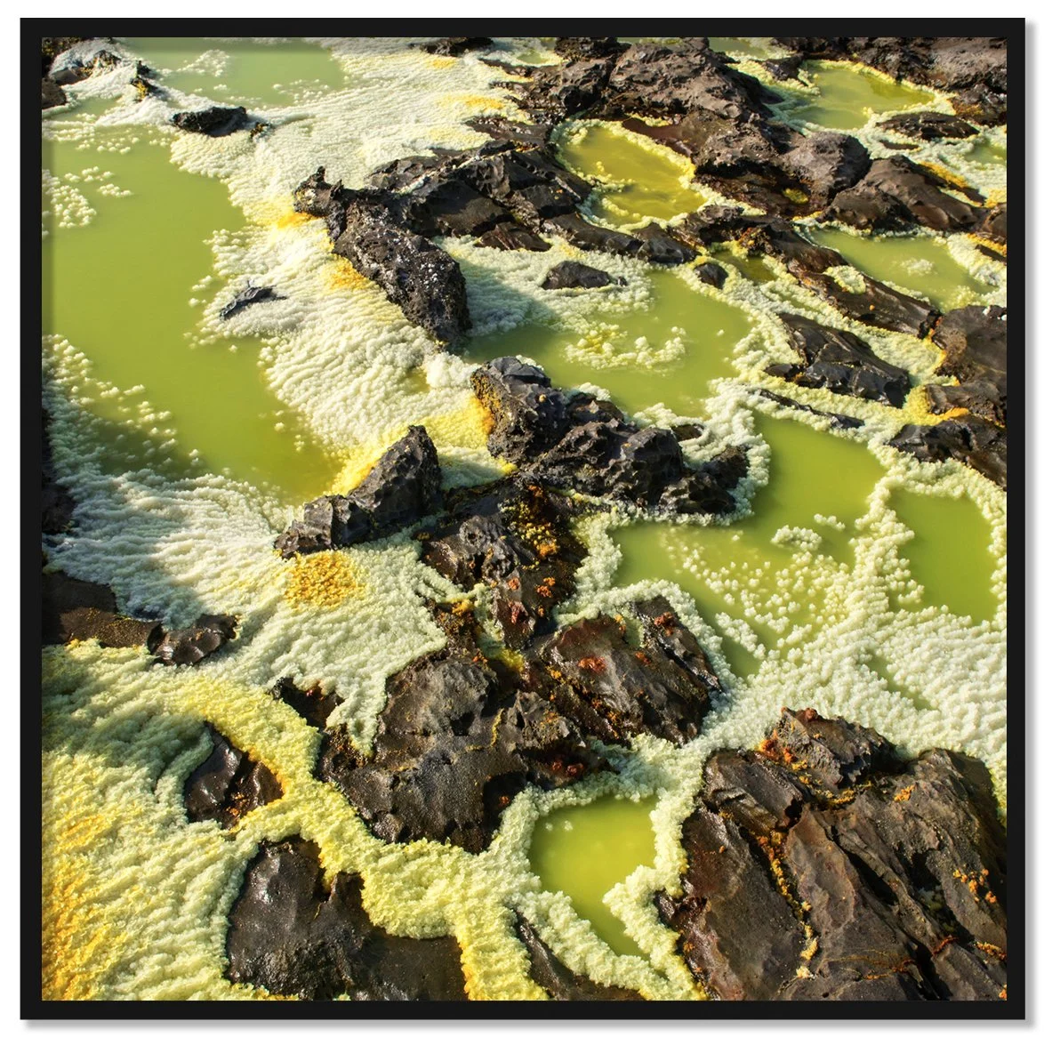Afar III framed fine art print by Luca Marziale, bright green acidic pools ringed by white salt crust between dark rock fragments, Danakil Depression, Ethiopia