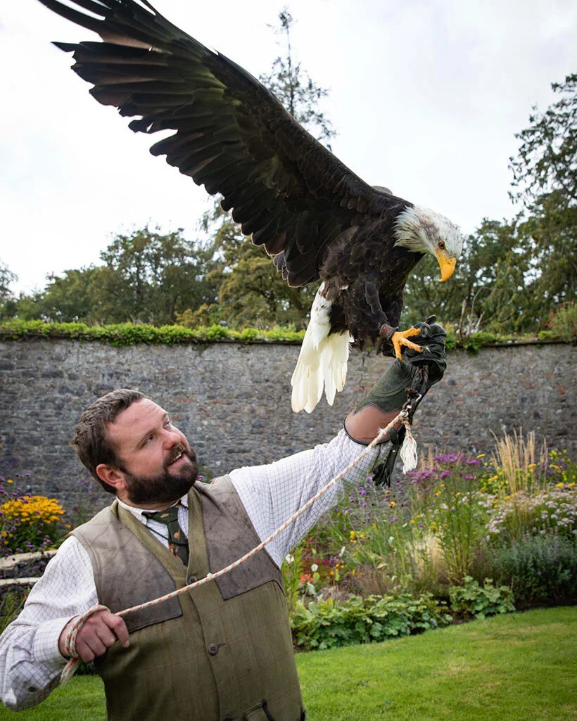 VirtualVacation_Ireland_Falconry.jpg