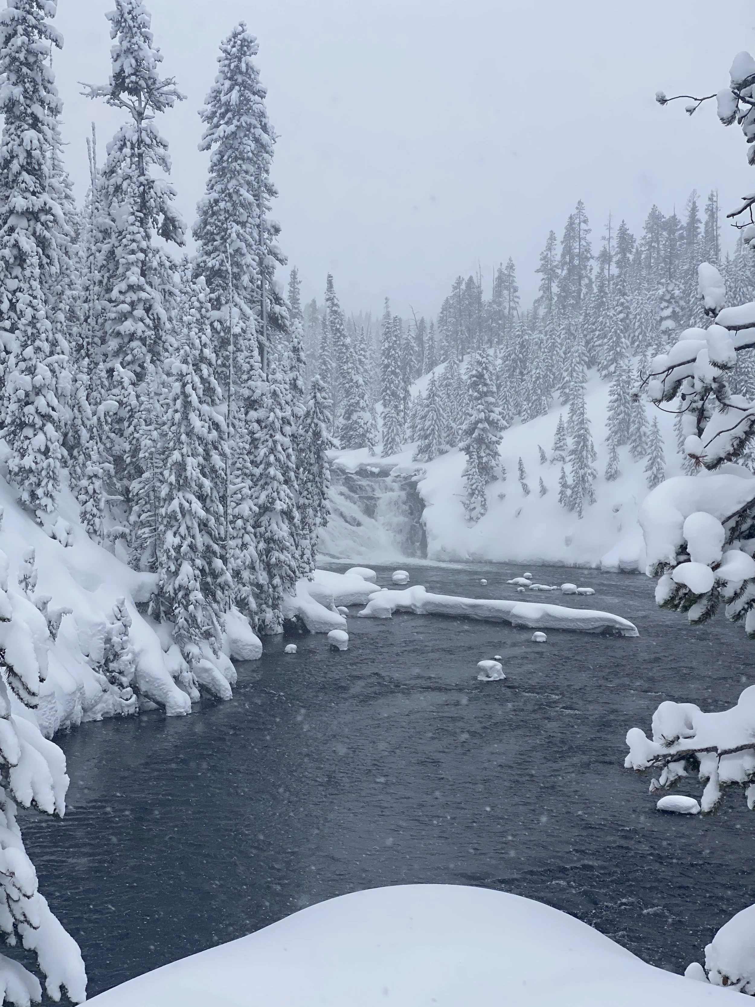 Jackson Hole Wyoming in winter