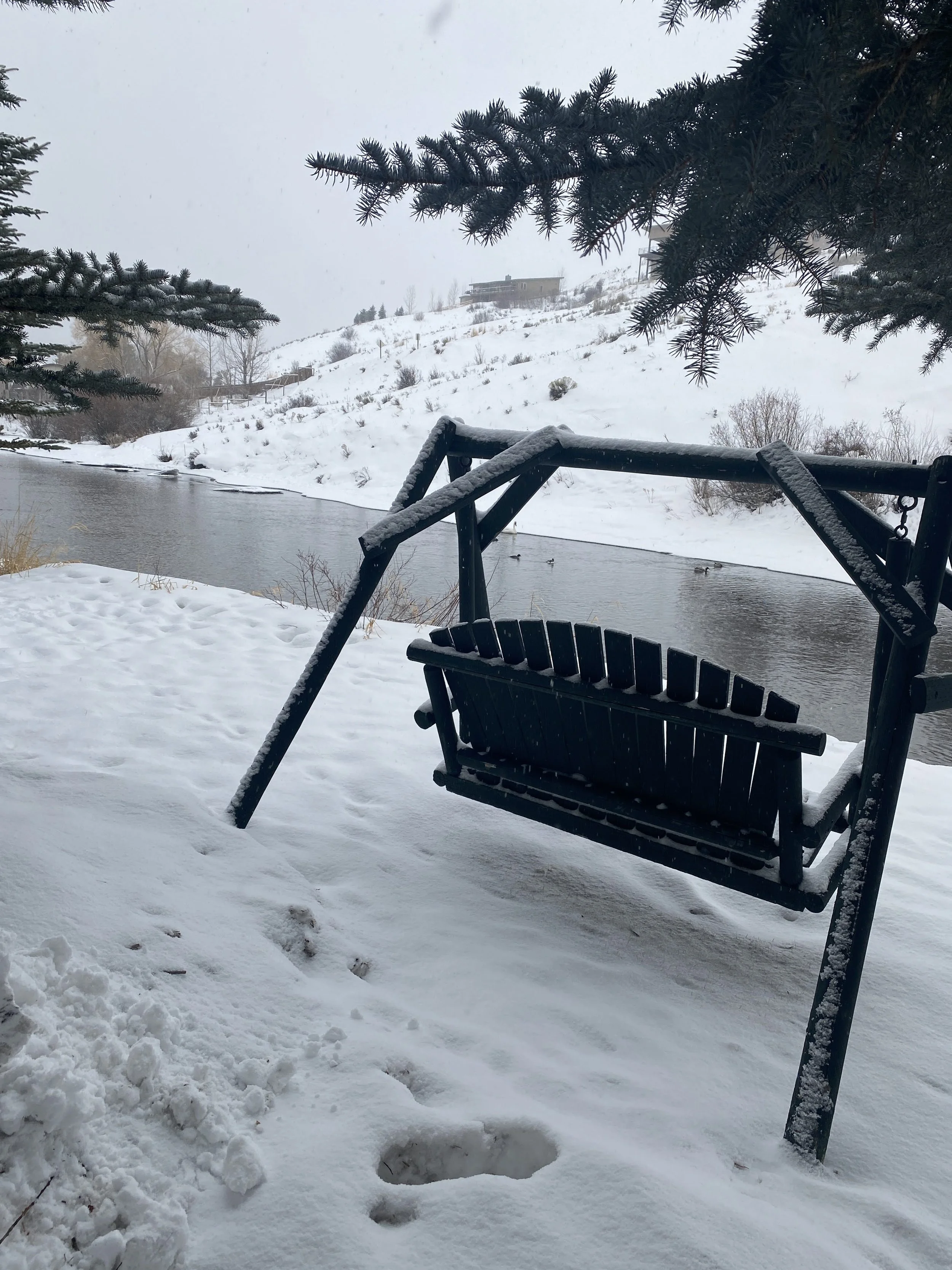 Jackson Hole Wyoming winter trip