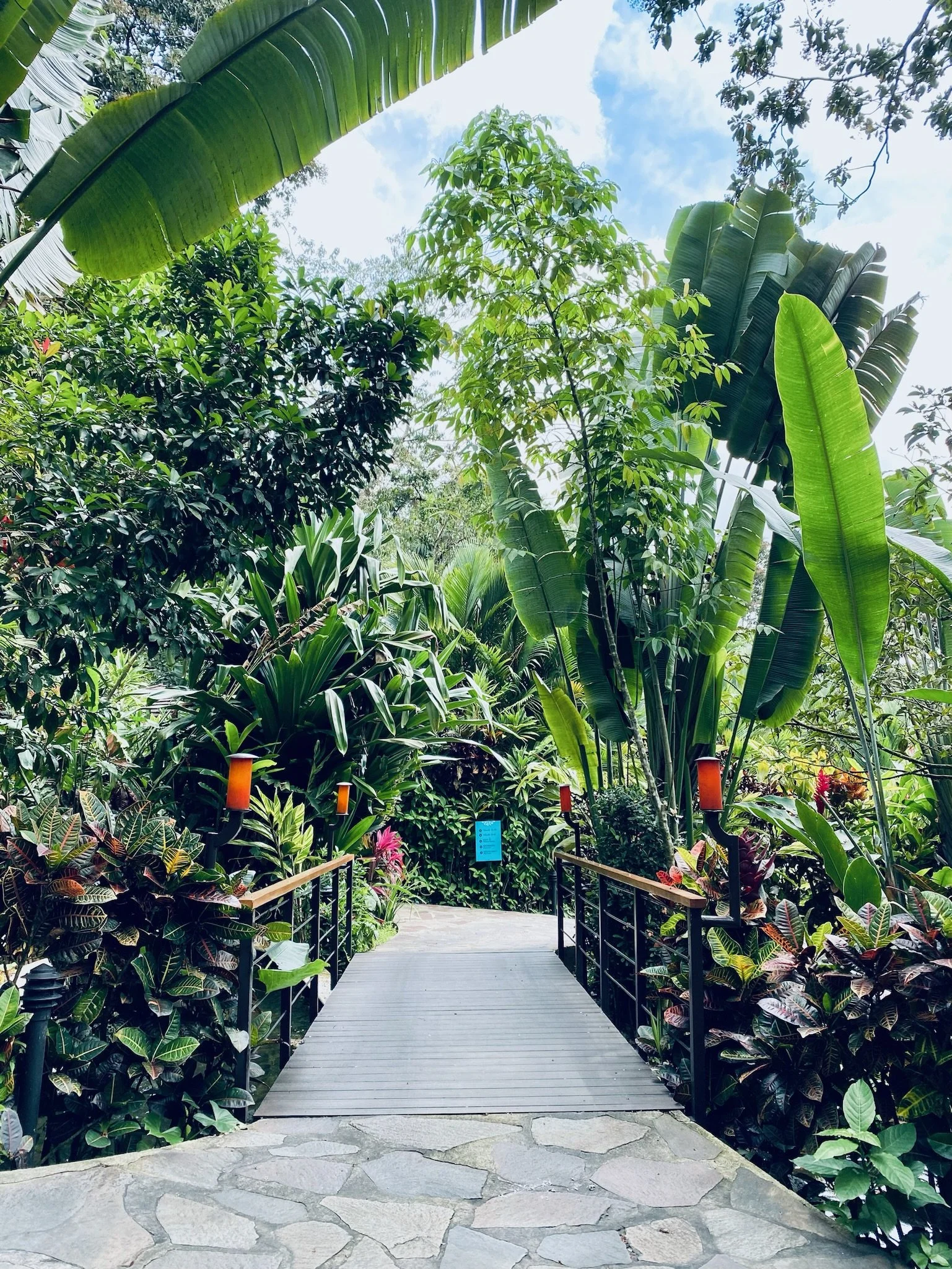 Nayara Springs