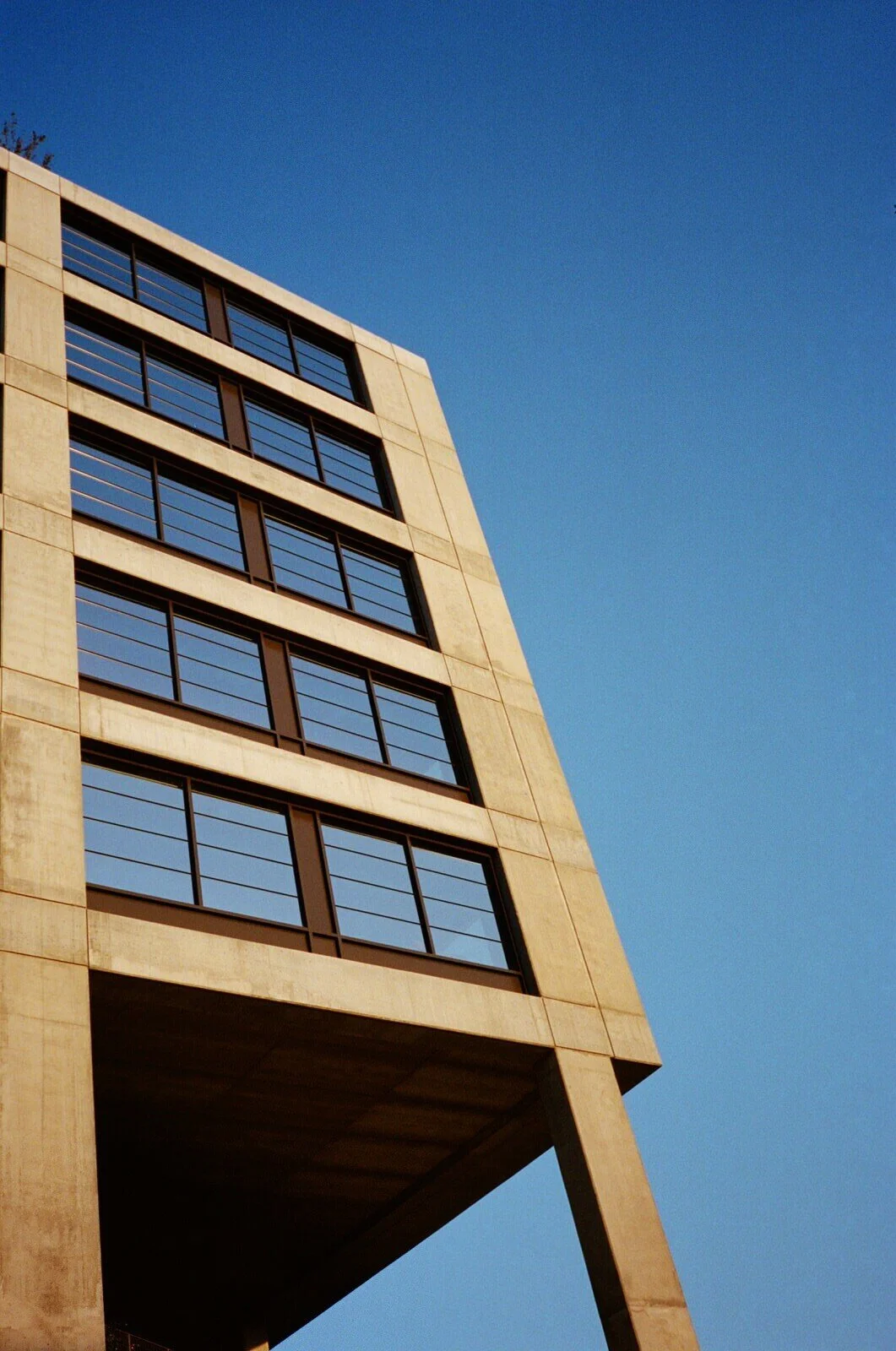 FrancesGrinnan-color-film-photograph-23.JPG