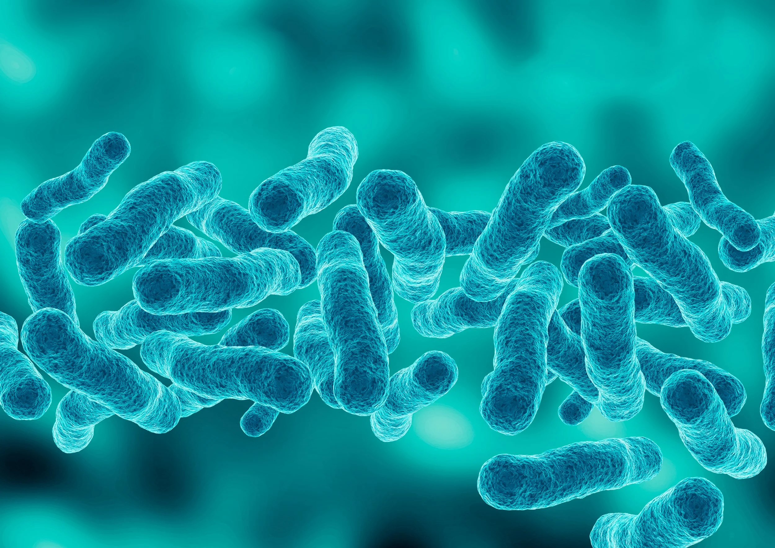 Legionnaires’ Outbreak in Central Harlem: What You Need to Know