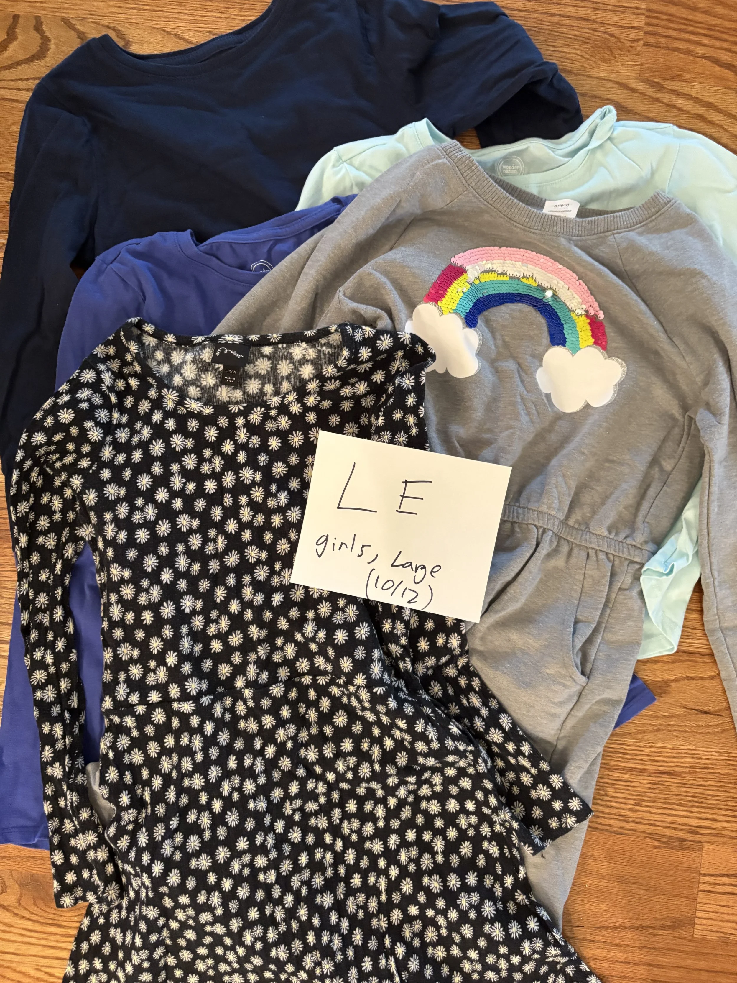 Lot LE girls size large 10/12