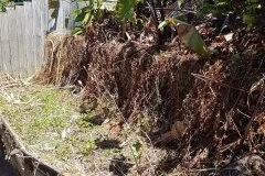 Rothesay-bay-before1