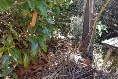 Rothesay-bay-before2