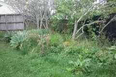 finch-street-before1