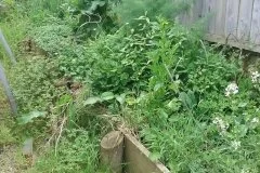 finch-street-before2