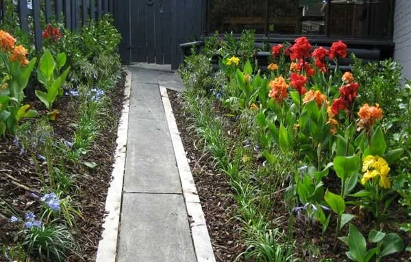 meadowbank-testimonial-image-1 (1).jpg