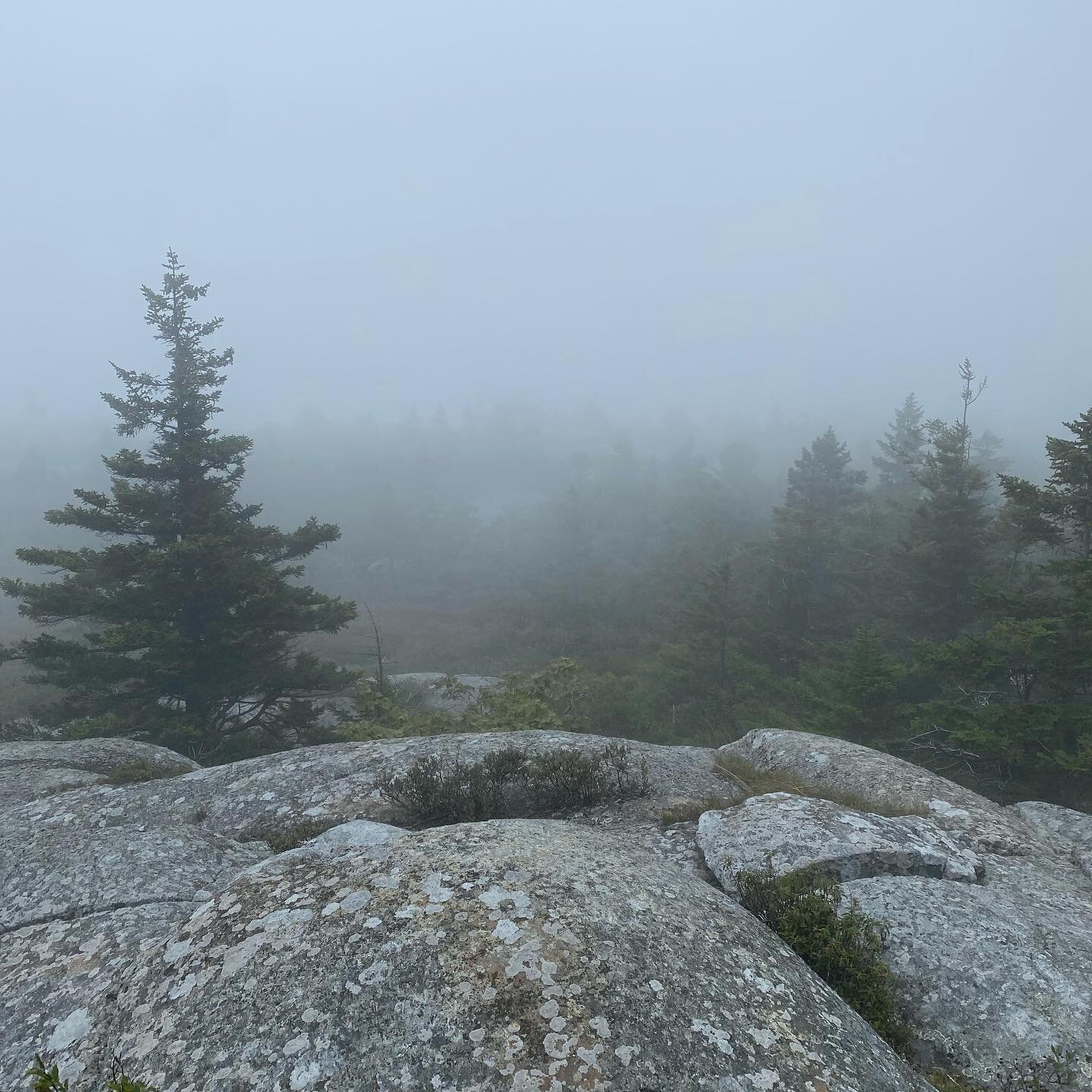 Quick trip up Monadnock yesterday with @hyggehousebooks, complete with mysterious fog and 30mph wind at the summit.  We finally got a little view in the way down but a fun hike anyways!  We took Red Spot up and down.  #strengthandconditioning #fitnes