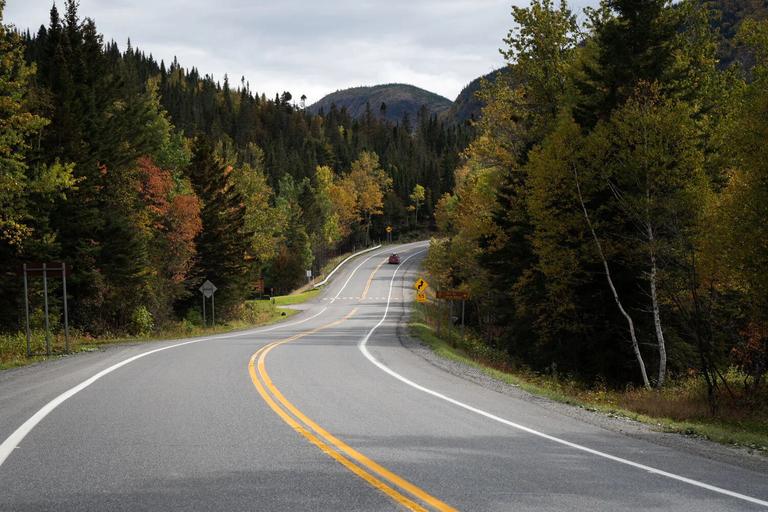 The road in parc national de la gaspésie