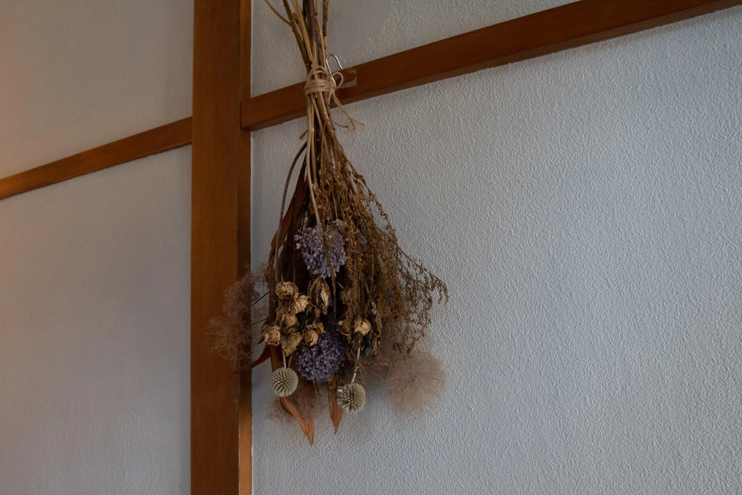 DSC01844.jpg