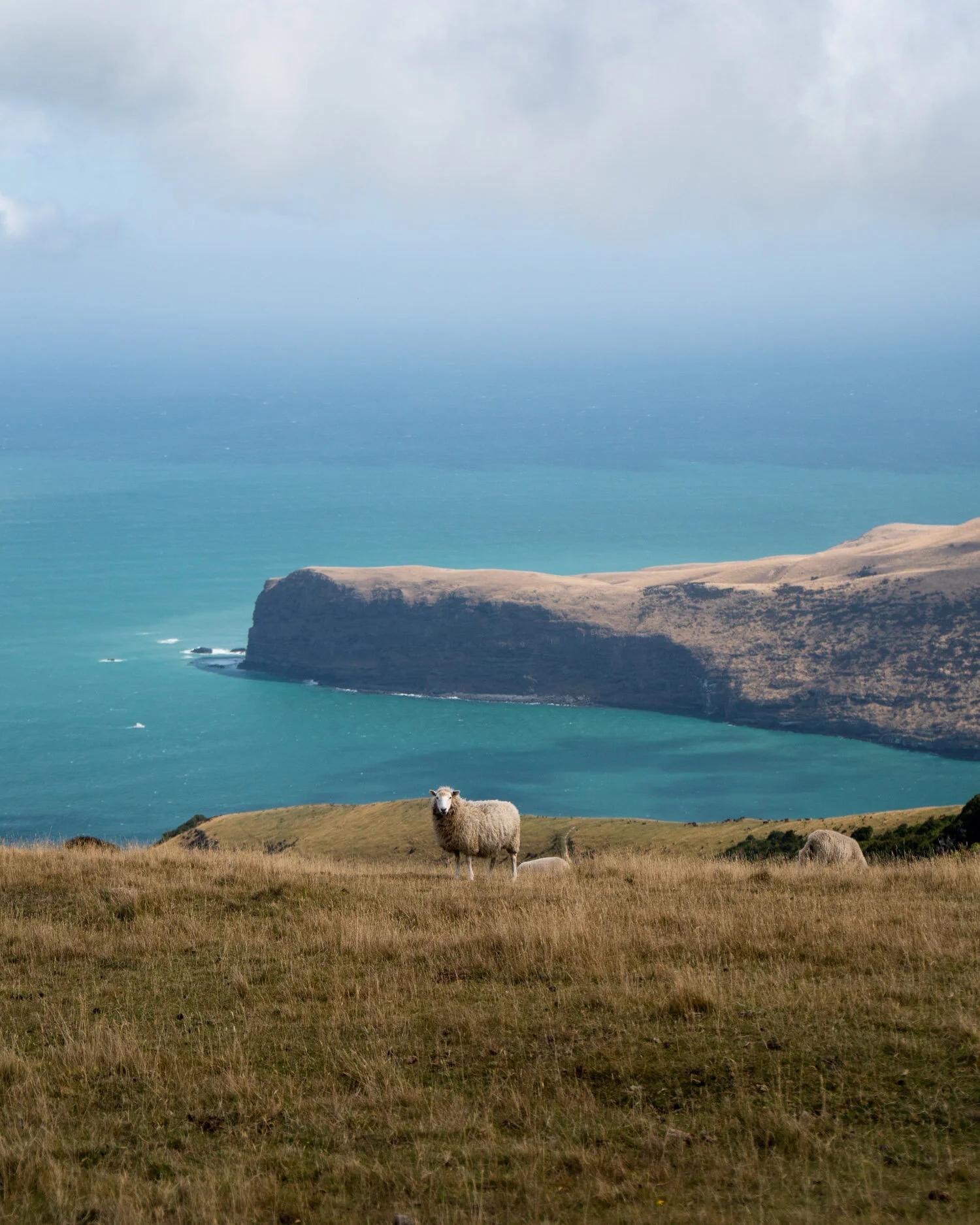 New Zealand