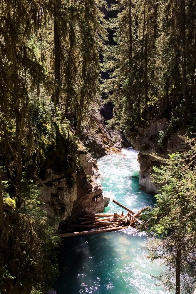 Johnston Creek