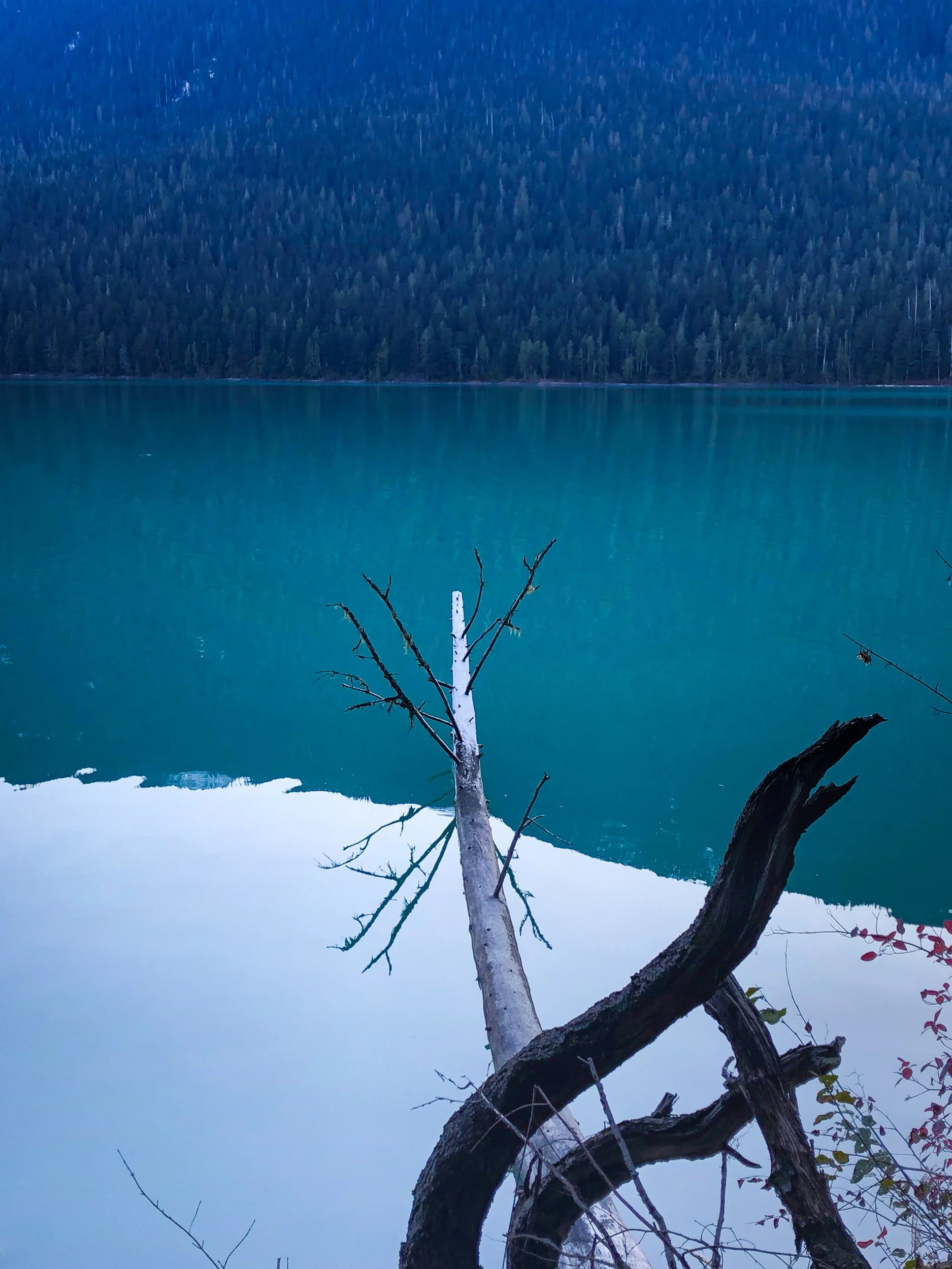 Cheakamus lake, an alpine blue lake in British Columbia 