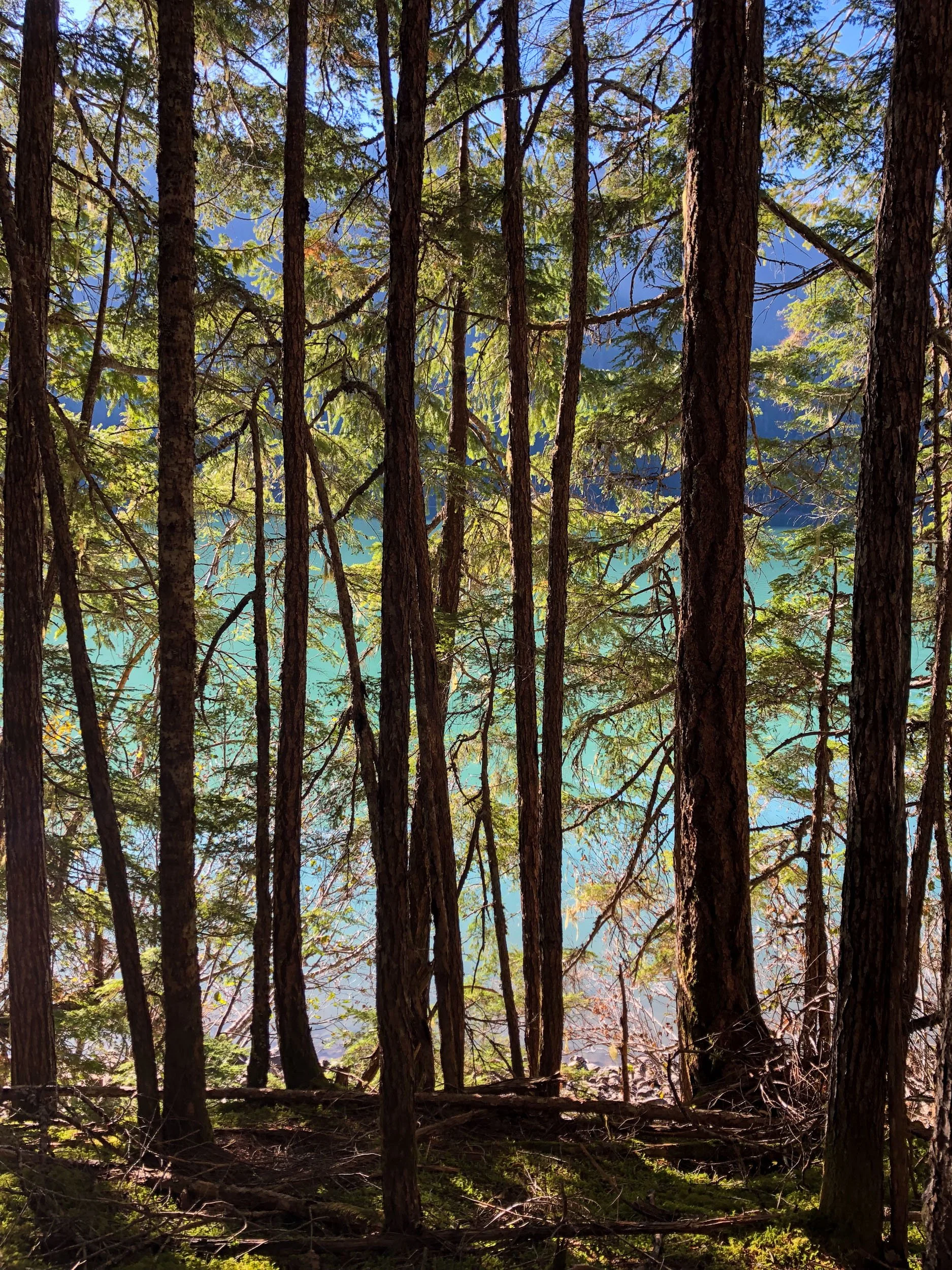  Cheakamus lake, an alpine green lake in British Columbia 