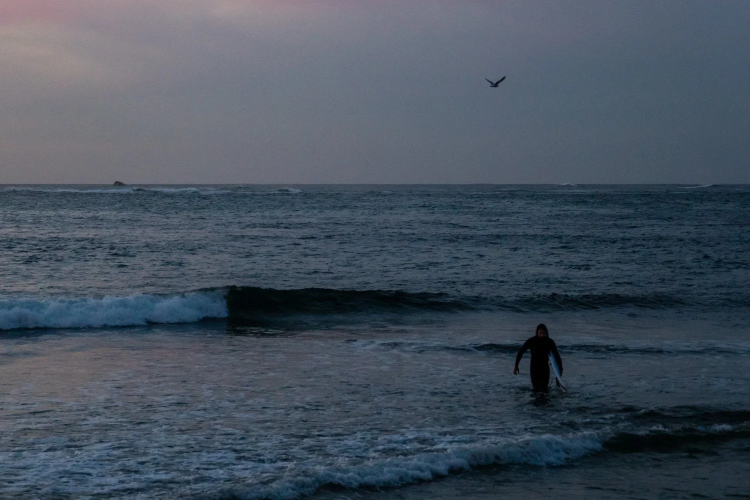 surfer at dusk in Australia