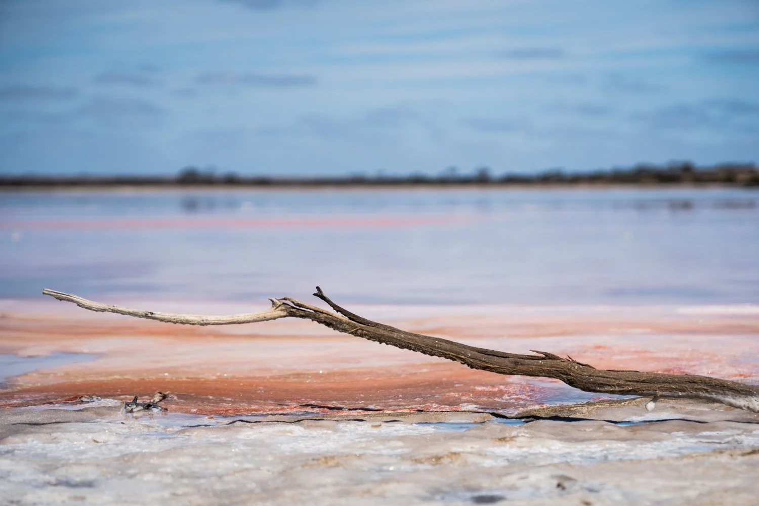 Pink and blue Lake Camm in Australia