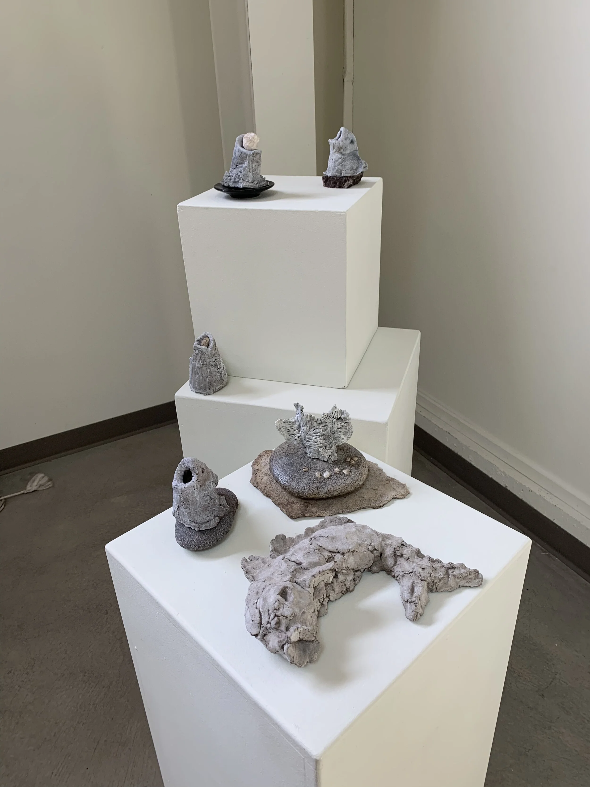 Art display with various abstract stone sculptures arranged on white pedestals in an gallery space.