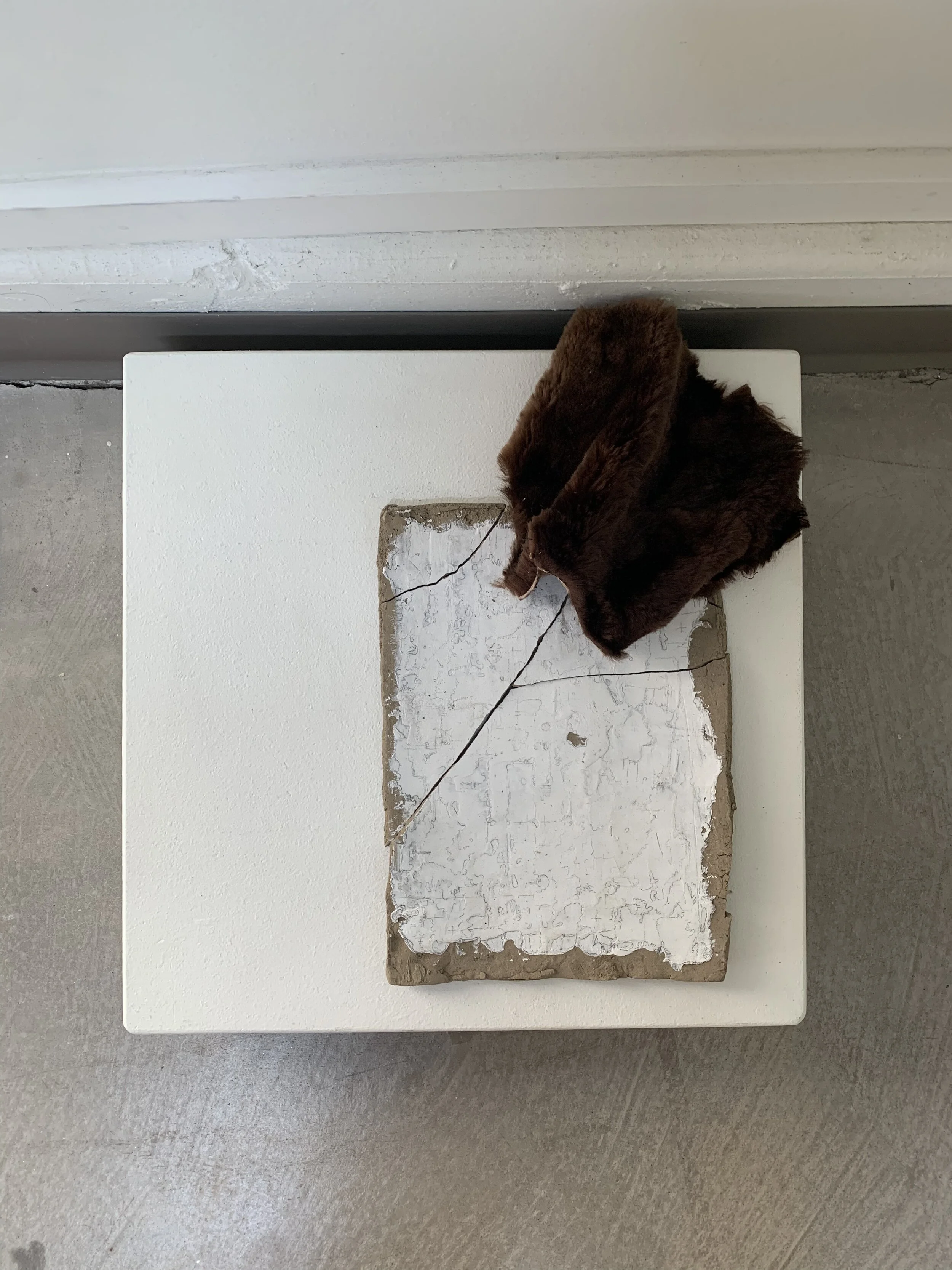 An art installation on a white pedestal featuring a textured piece of material with a brown faux fur sculpture on top, with black wire or string attached.