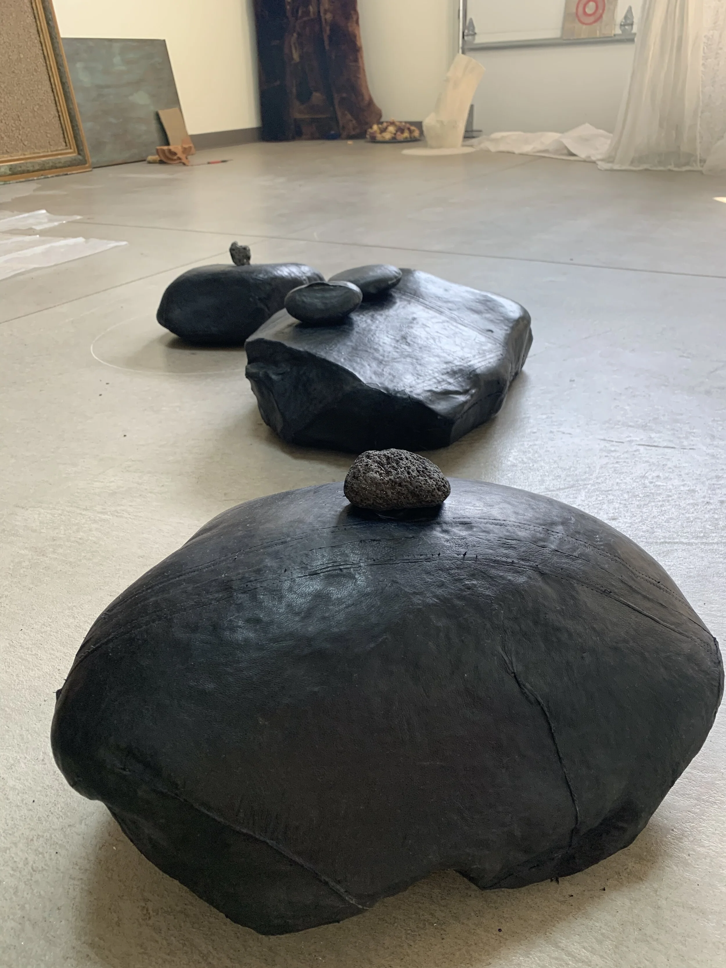Collection of stones arranged in a line on the floor in a room with a light-colored carpet and various objects in the background.