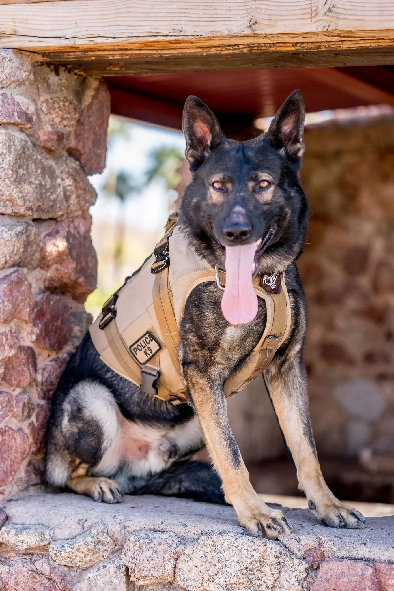 Police K9 Equipment Grants