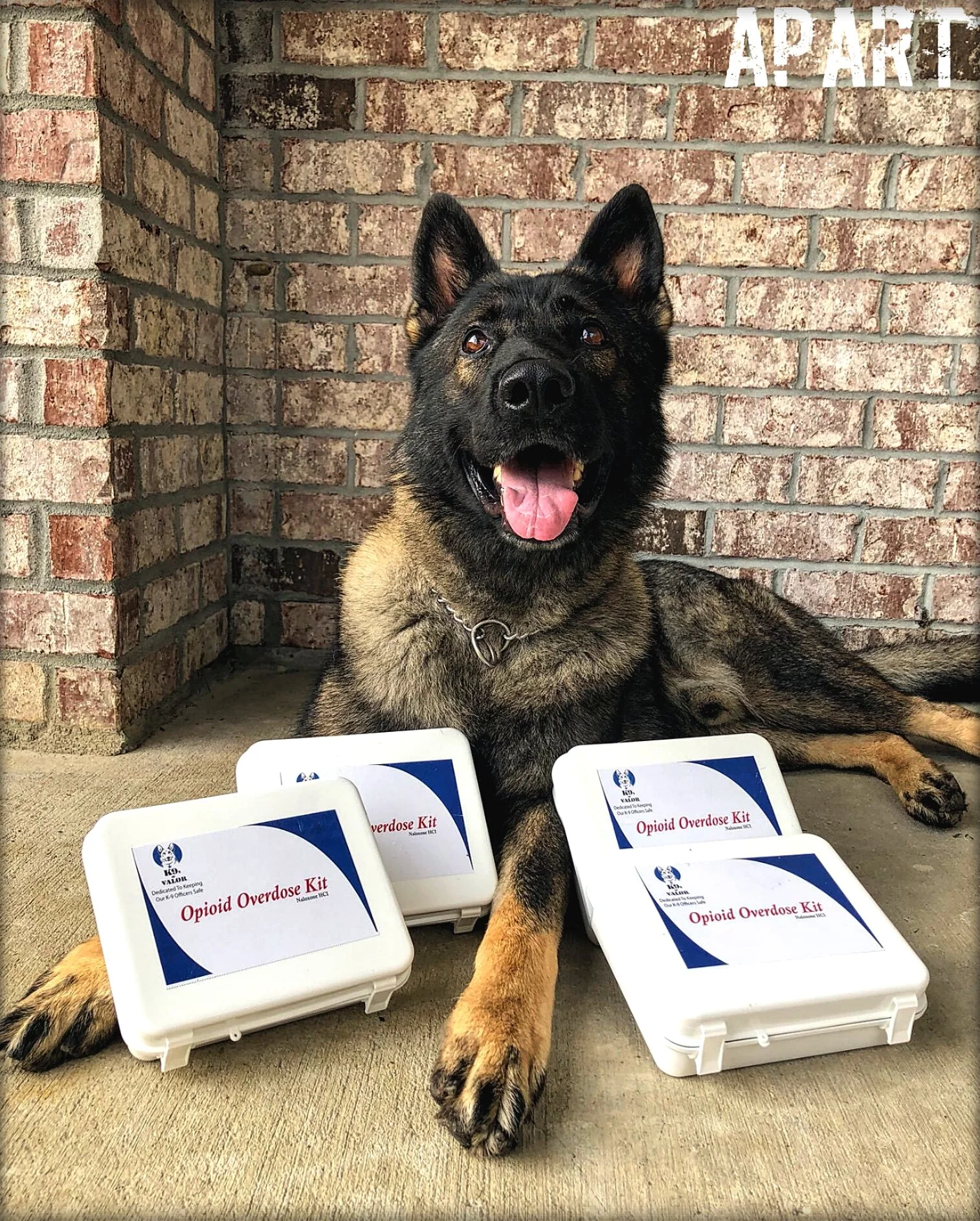 About 5 — The K9s of Valor Foundation