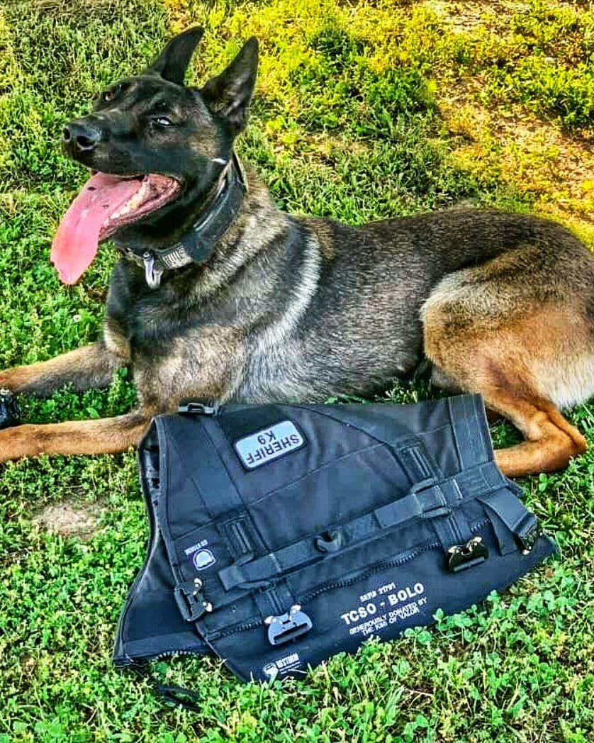 How Bulletproof Vests Can Protect Your Protection Dog — Tactical K9  Solutions