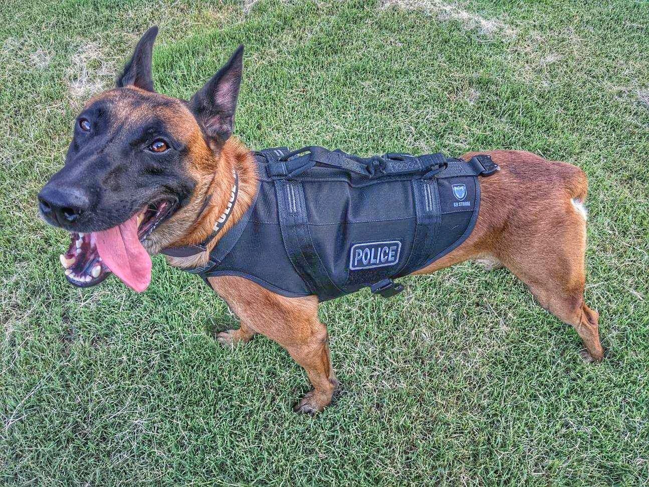 Body Armour Canada Bullet & Cut Resistant Products - Tornado K9 Vest -  Harness only or with Protective Panels
