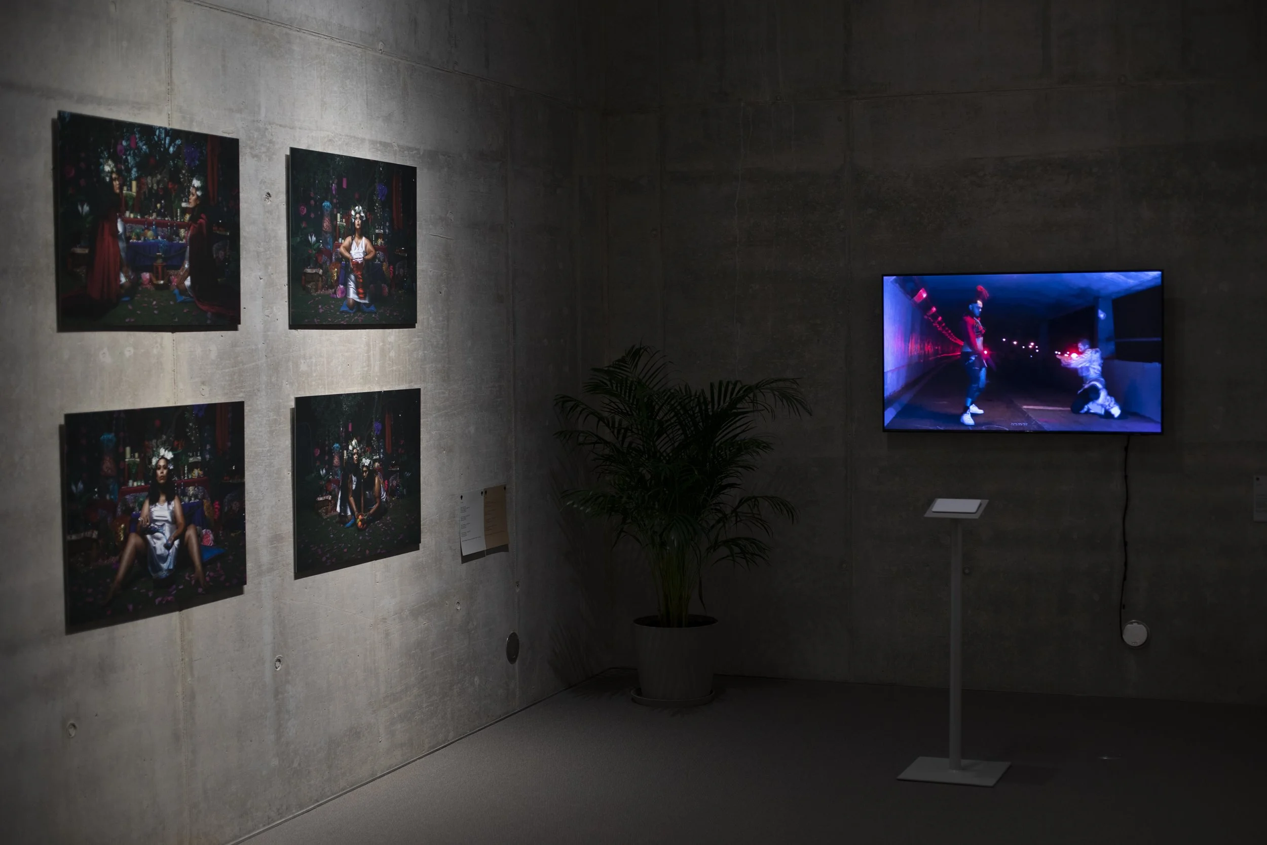 document install_1.jpg