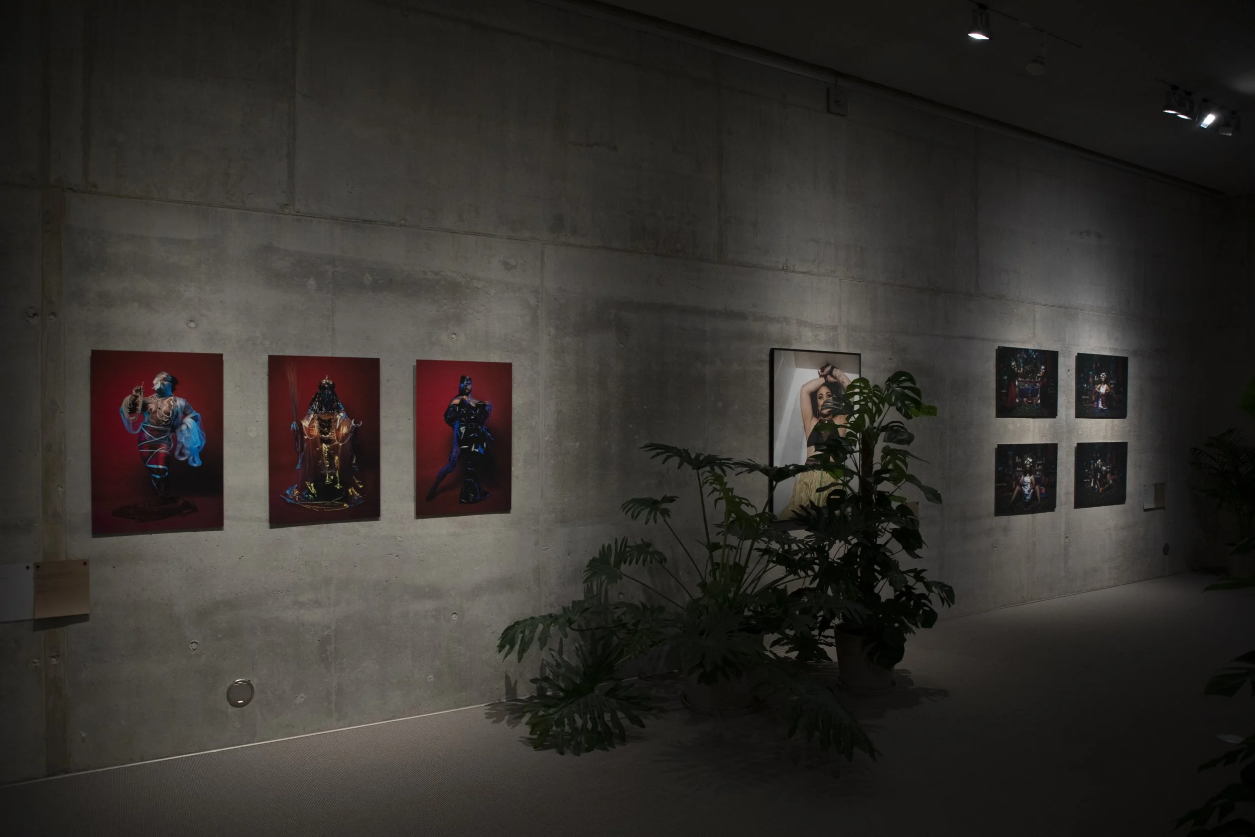 document install_10.jpg