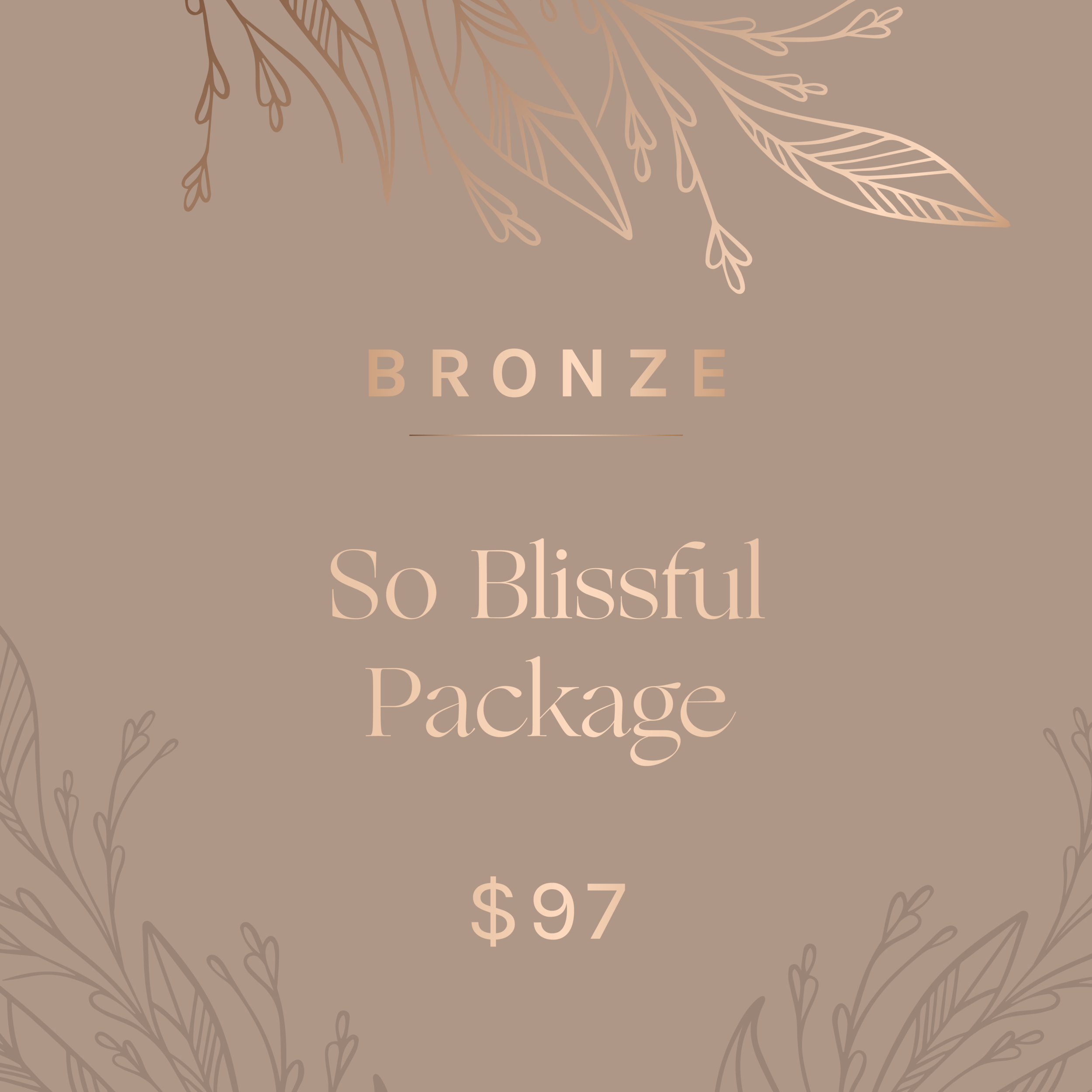 So Blissful Package  Duration - 1hr  $97    This package includes:      Signature Facial  during which your skin is cleansed, exfoliated, massaged and masked     Lash and Brow Tint  is applied to highlight your eyes     Skin-nourishing Hand and Arm Massage  to soften, smooth and replenish the skin’s moisture     Foot and Lower Leg Refresher Treatment  to exfoliate, invigorate and nourish